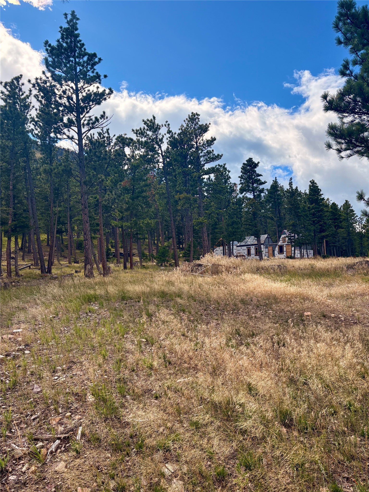4535 Little Wolf Creek Road Property Photo 6