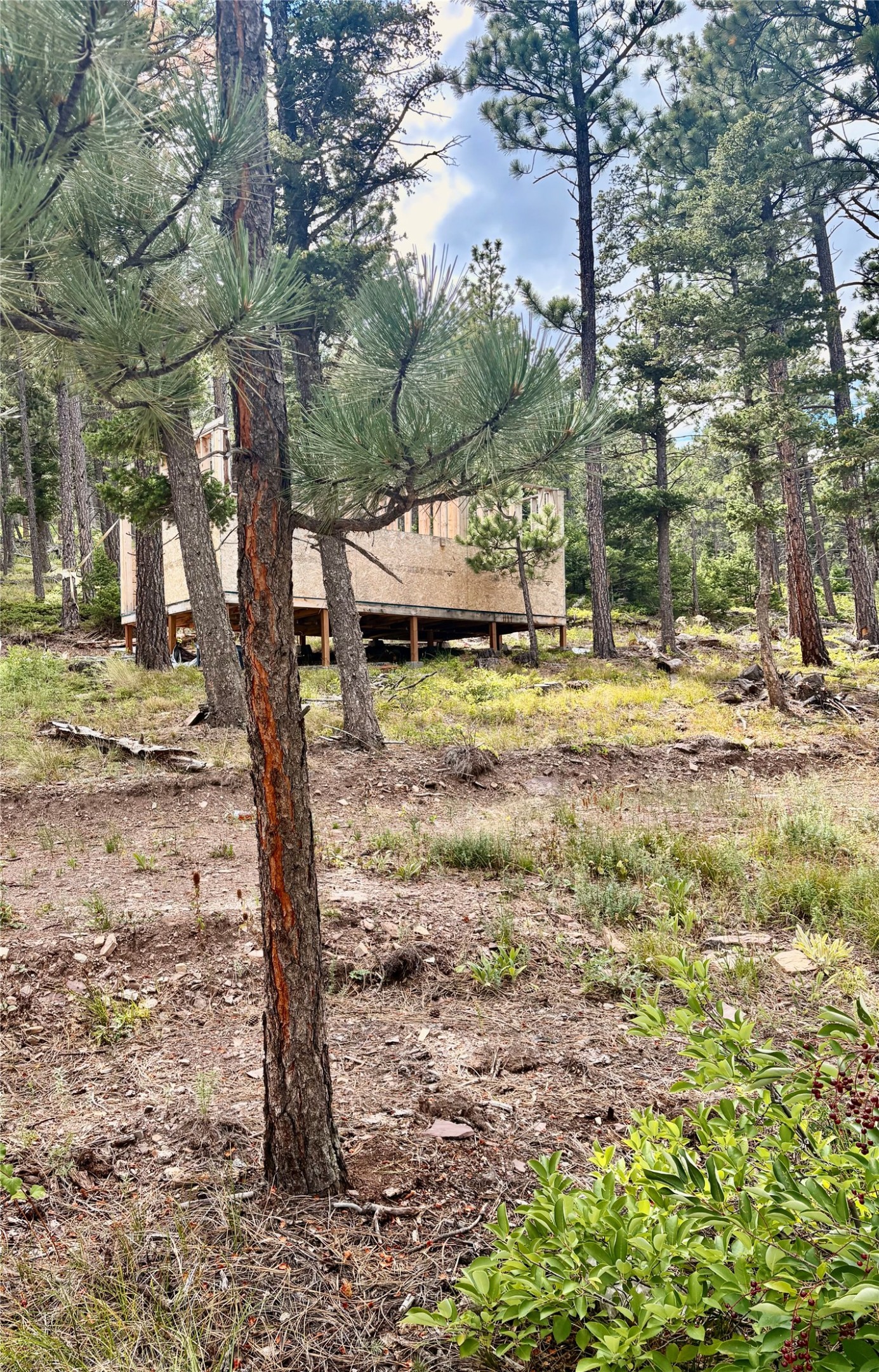 4535 Little Wolf Creek Road Property Photo 7