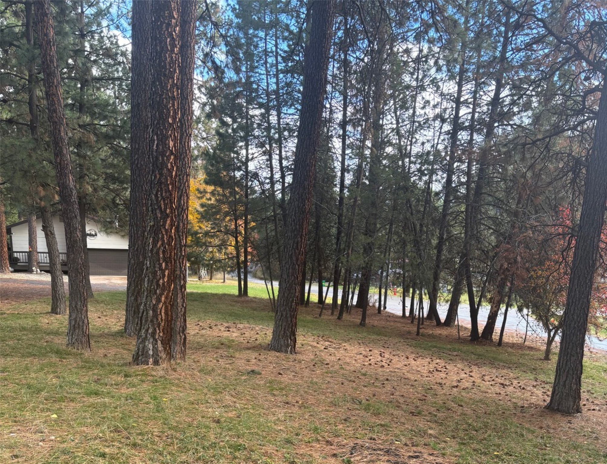 205 Kaniksu Court Property Photo 8