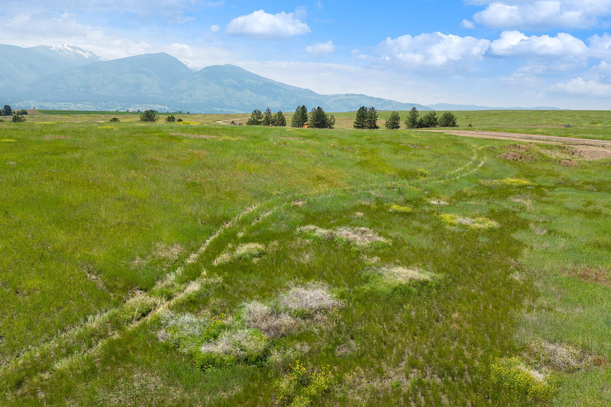 163 Turnstone Way Property Photo 11