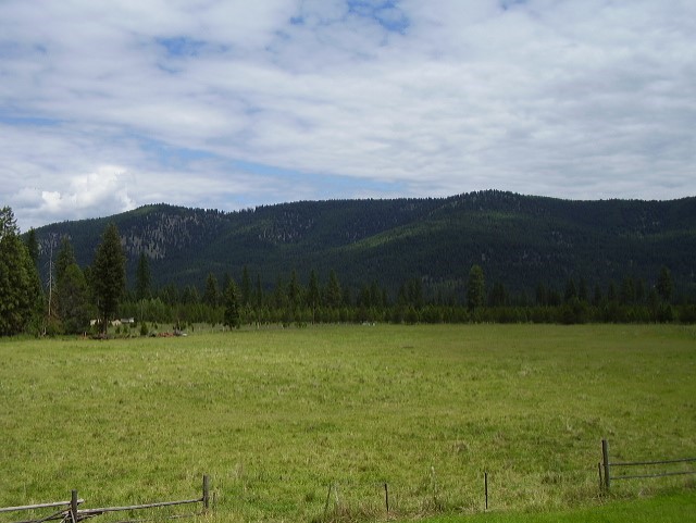 160 Majestic Mountain Drive Property Photo 3