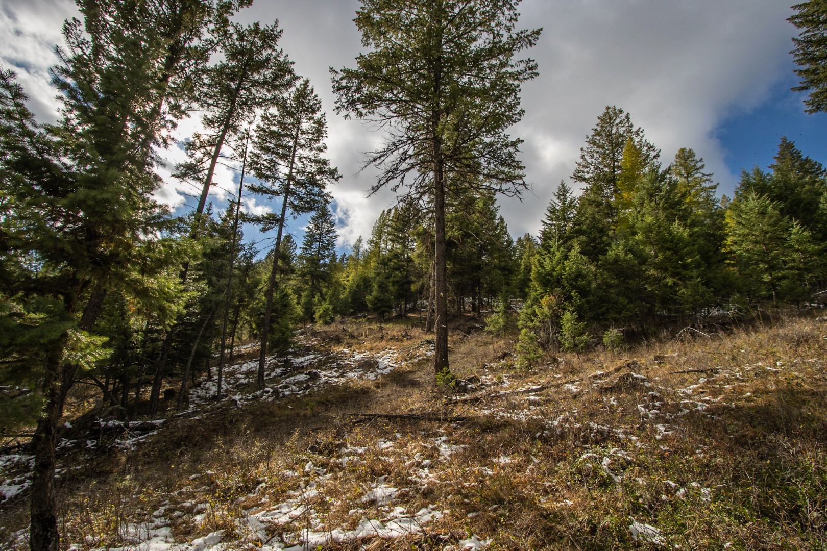 Nhn Copper Road Property Photo 9
