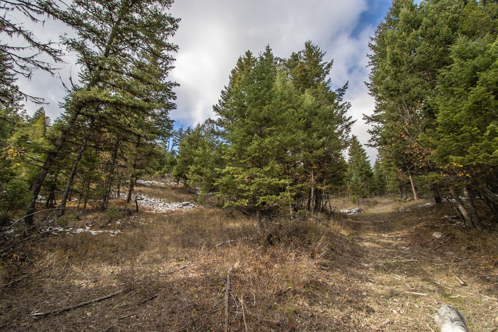 Nhn Copper Road Property Photo 10