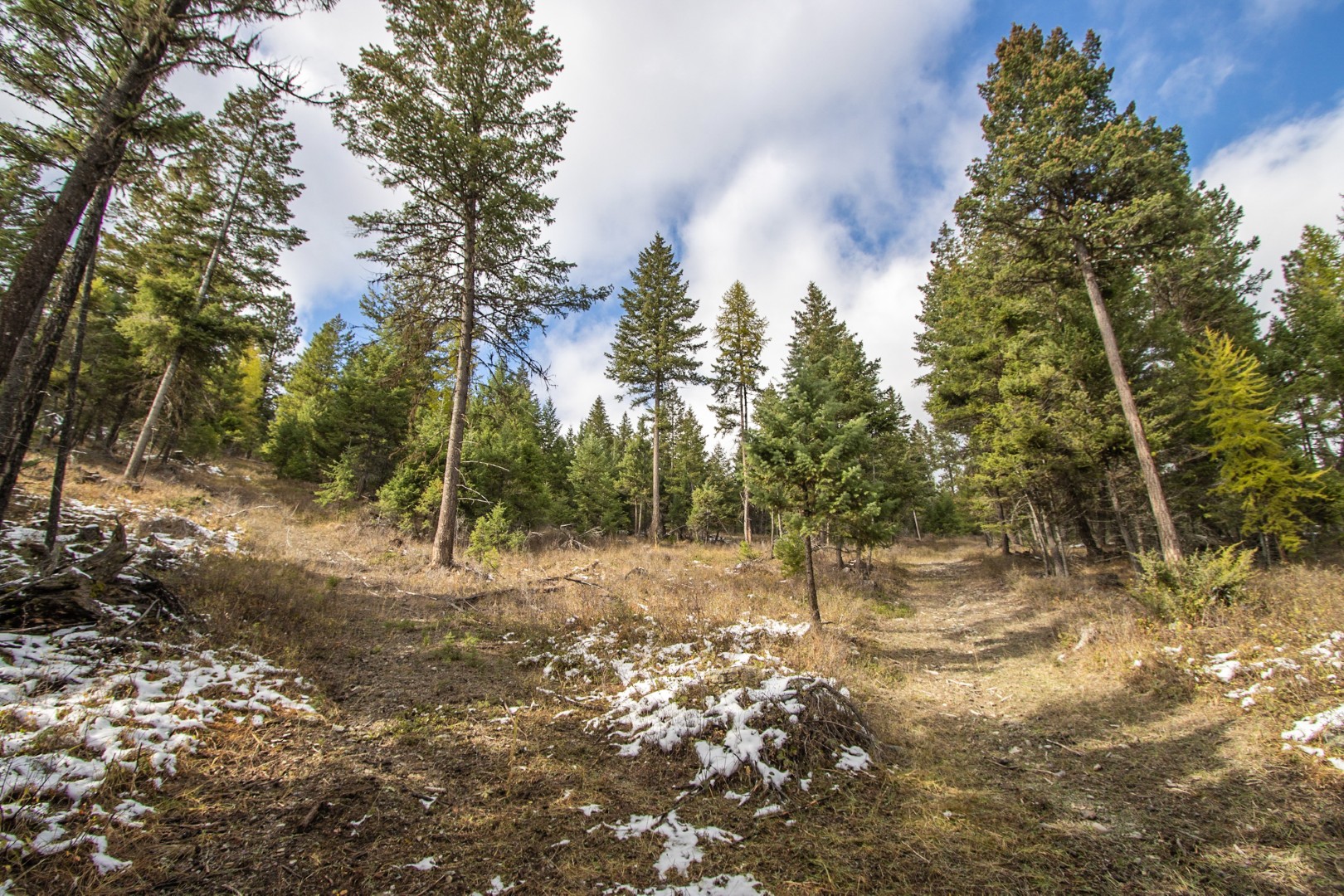 Nhn Copper Road Property Photo 11