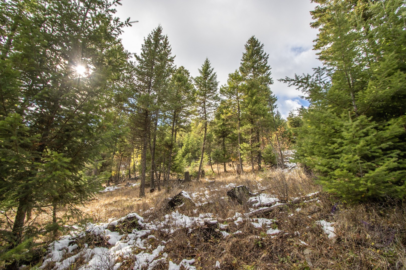 Nhn Copper Road Property Photo 12