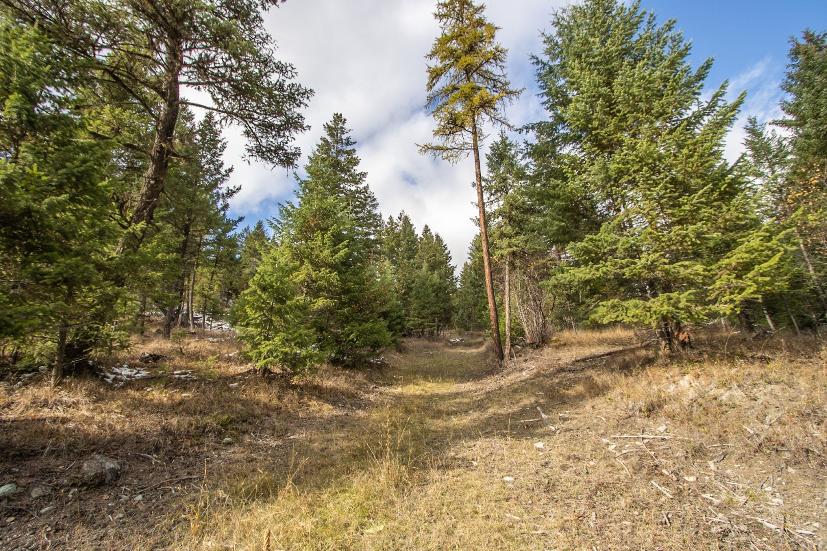 Nhn Copper Road Property Photo 13