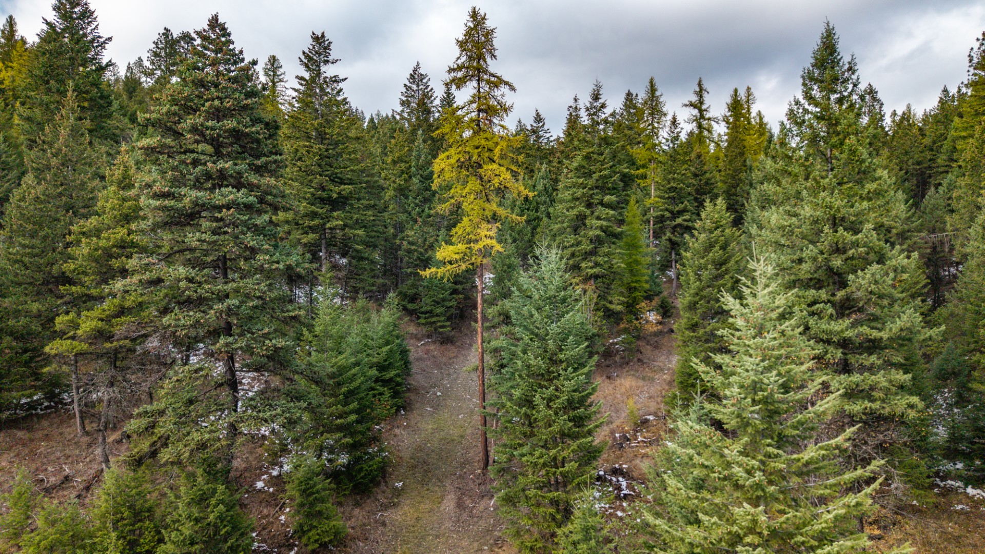 Nhn Copper Road Property Photo 14