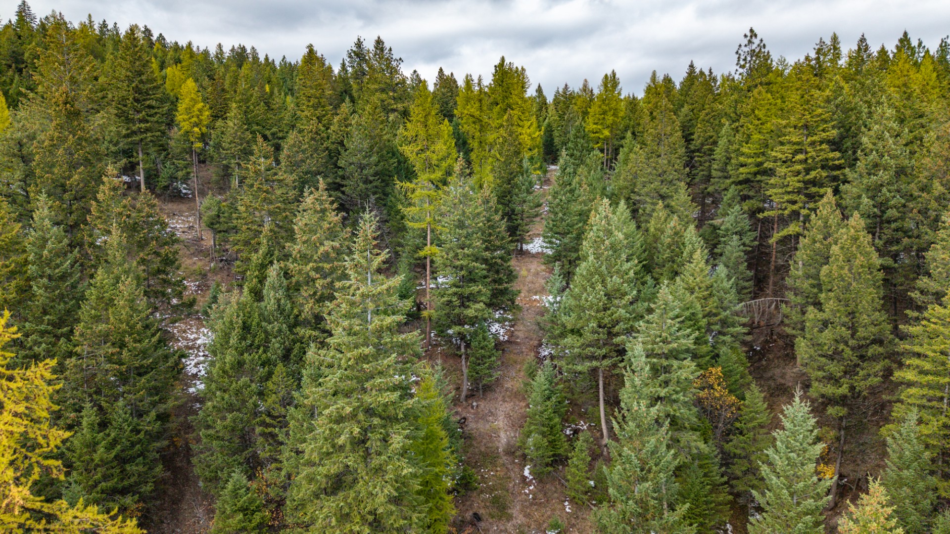 Nhn Copper Road Property Photo 16