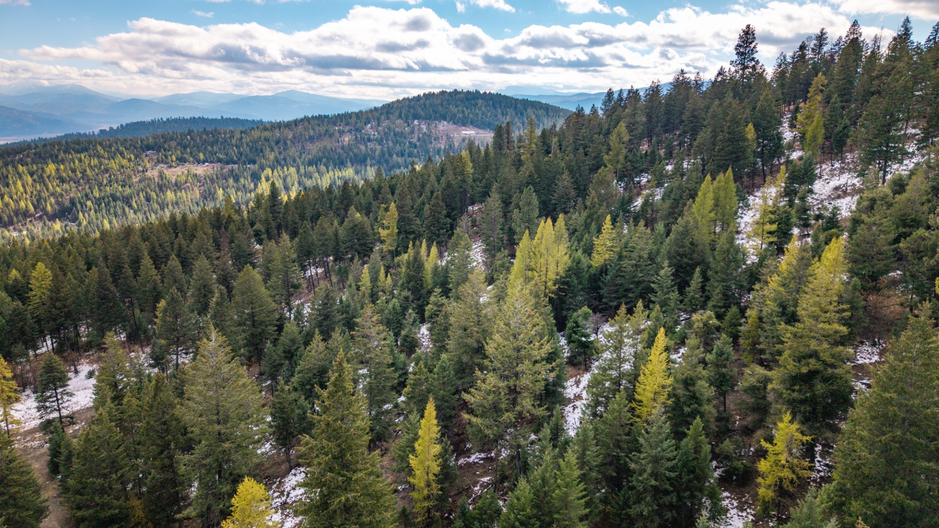 Nhn Copper Road Property Photo 17