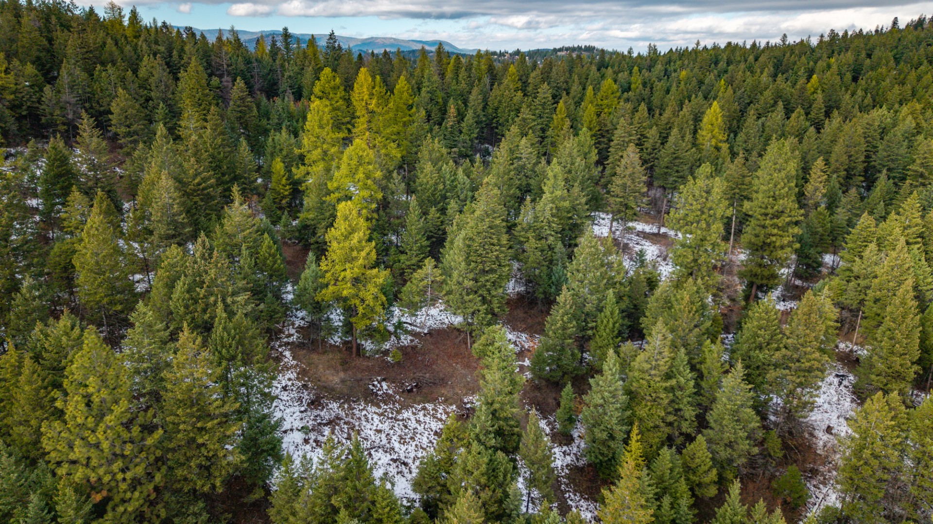Nhn Copper Road Property Photo 19