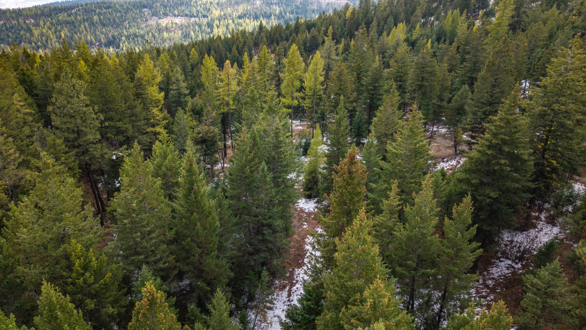 Nhn Copper Road Property Photo 20