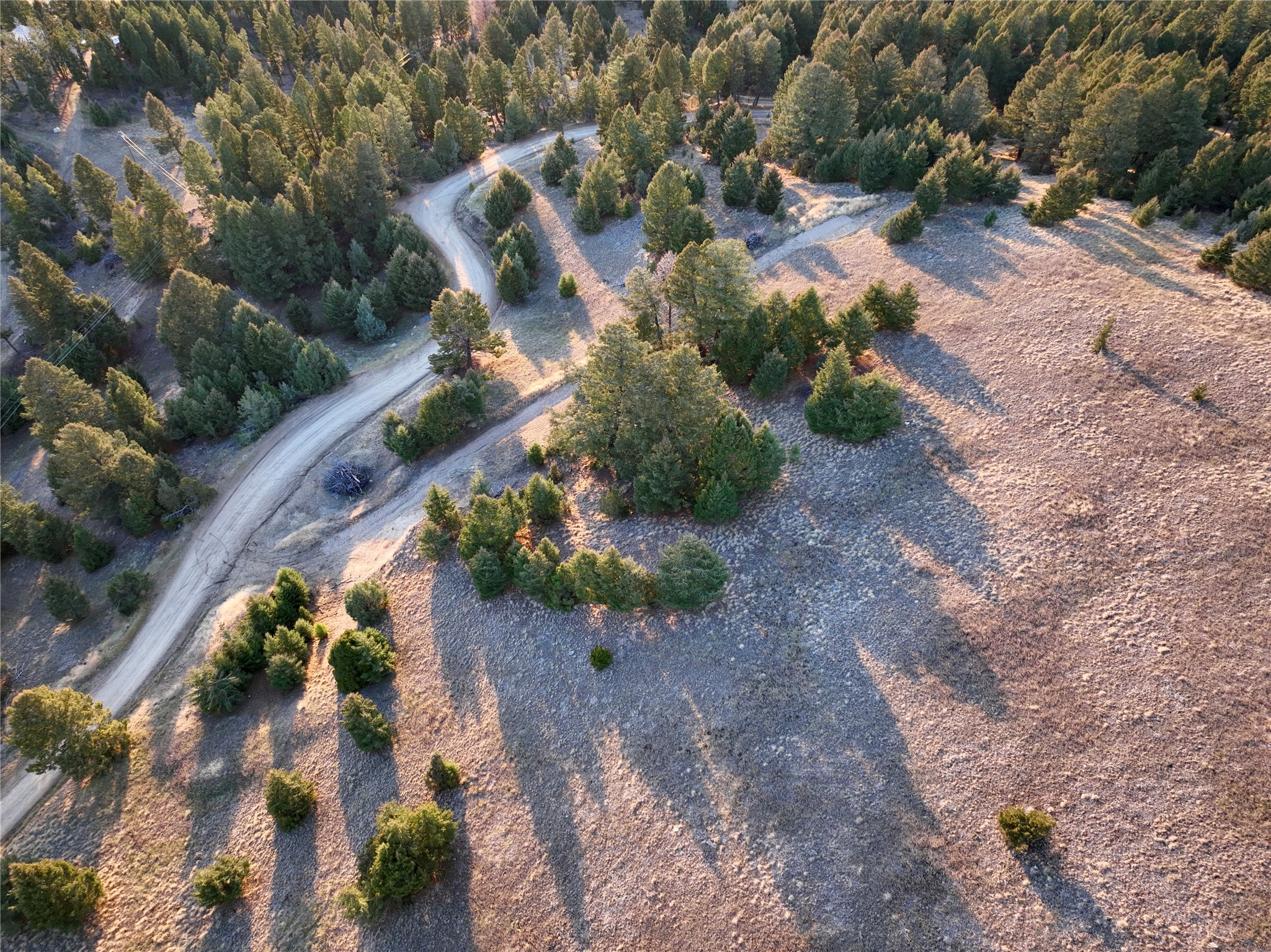 Lot 1 Scranton Lode Property Photo 5