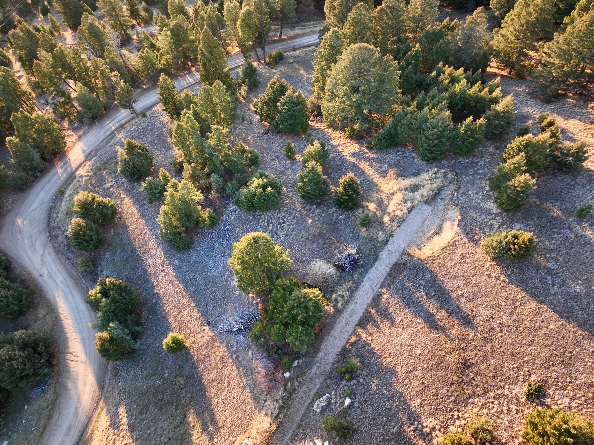 Lot 1 Scranton Lode Property Photo 6