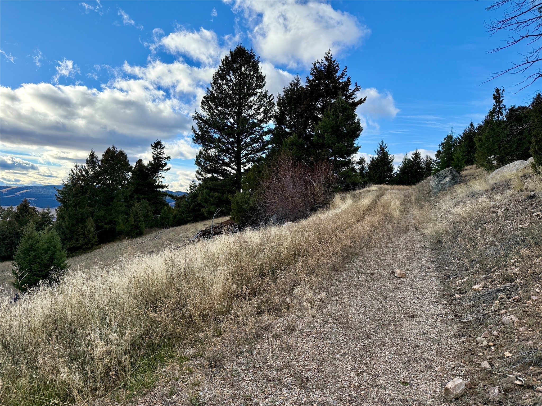 Lot 1 Scranton Lode Property Photo 9