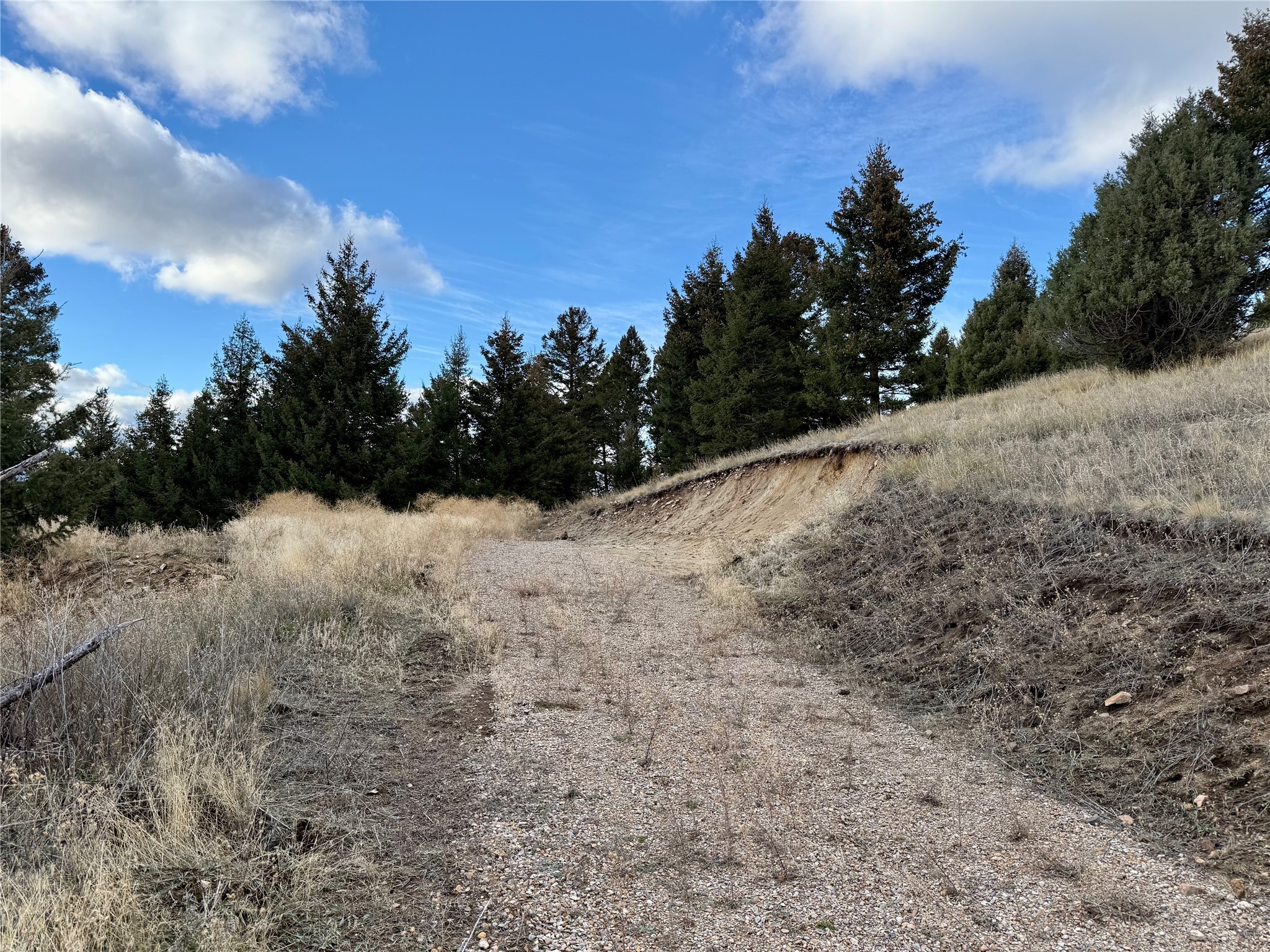 Lot 1 Scranton Lode Property Photo 12