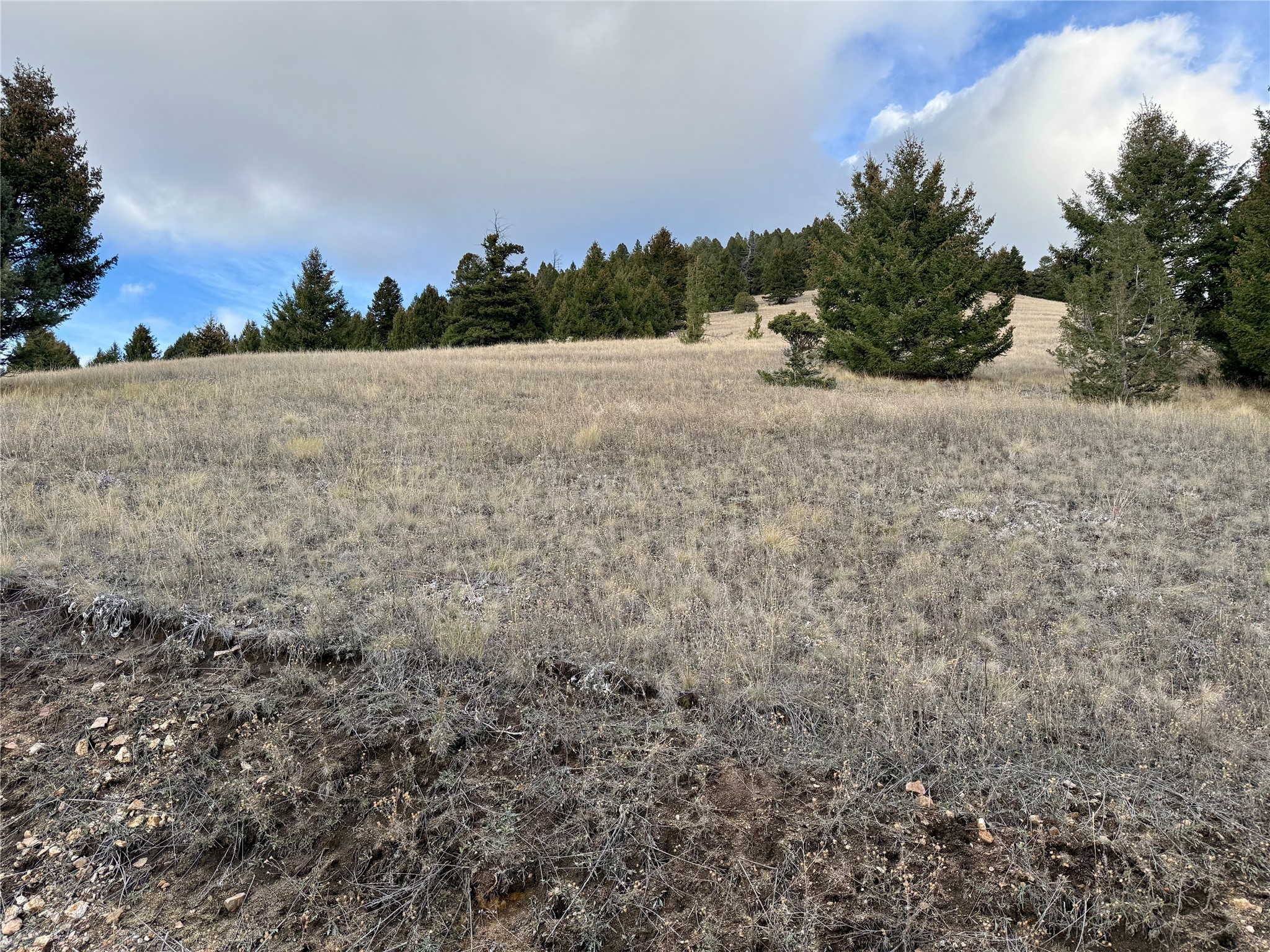 Lot 1 Scranton Lode Property Photo 13