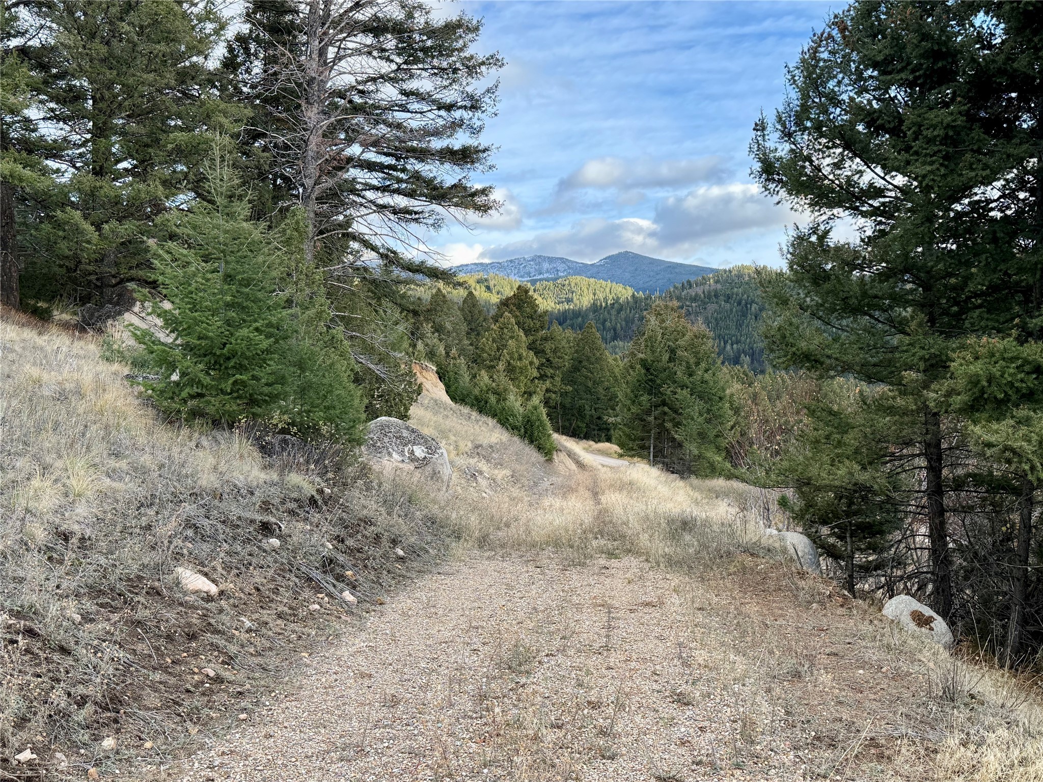 Lot 1 Scranton Lode Property Photo 14