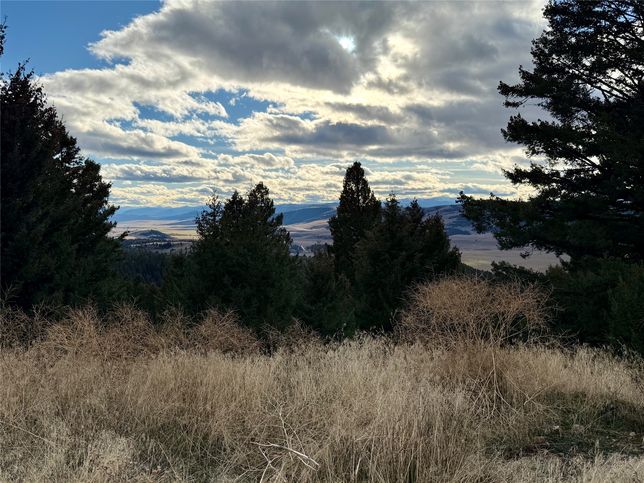 Lot 1 Scranton Lode Property Photo 15
