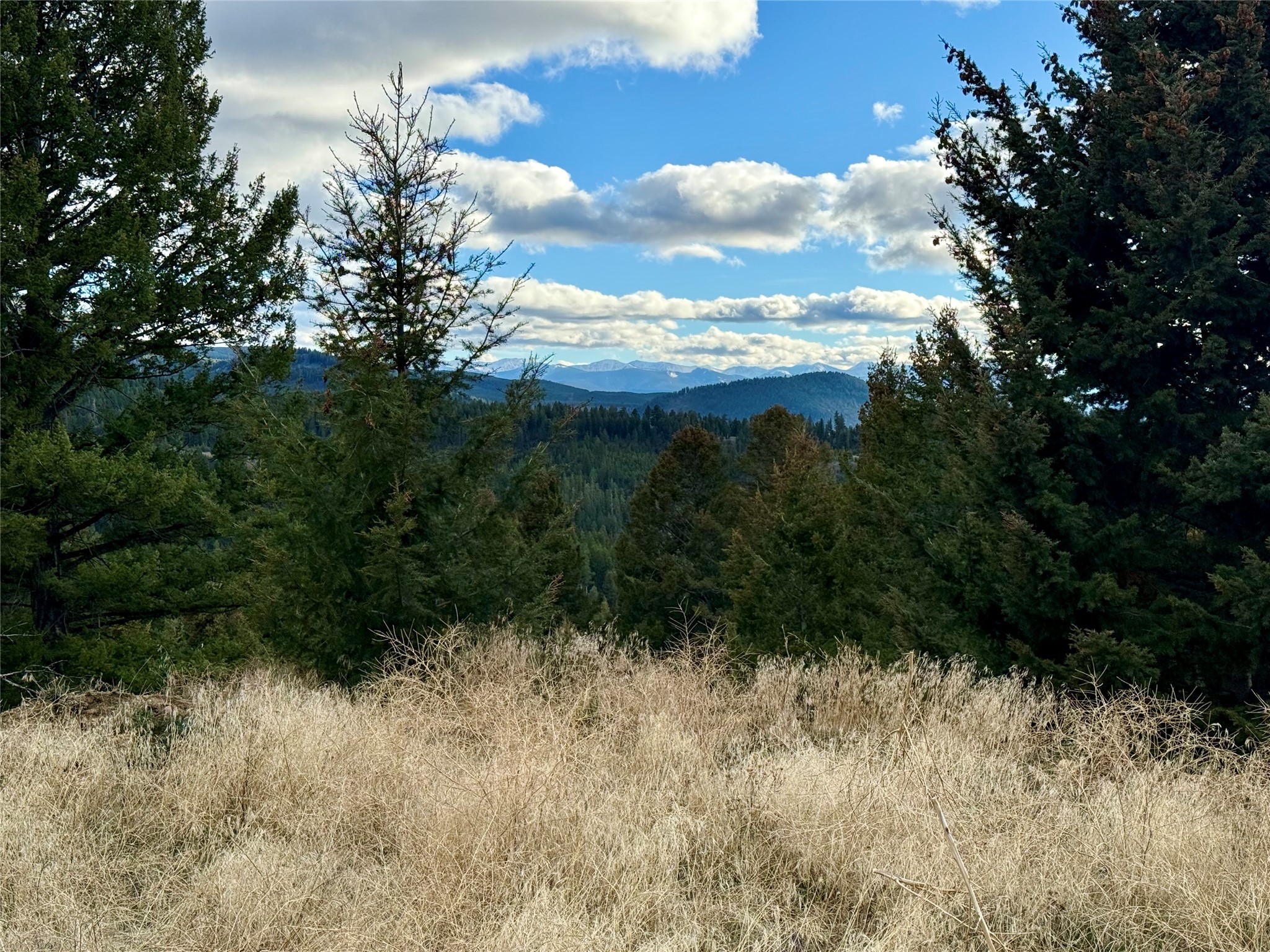 Lot 1 Scranton Lode Property Photo 17