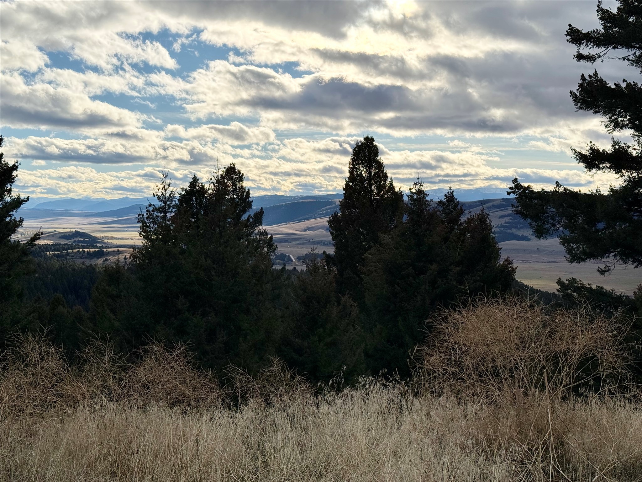Lot 1 Scranton Lode Property Photo 18