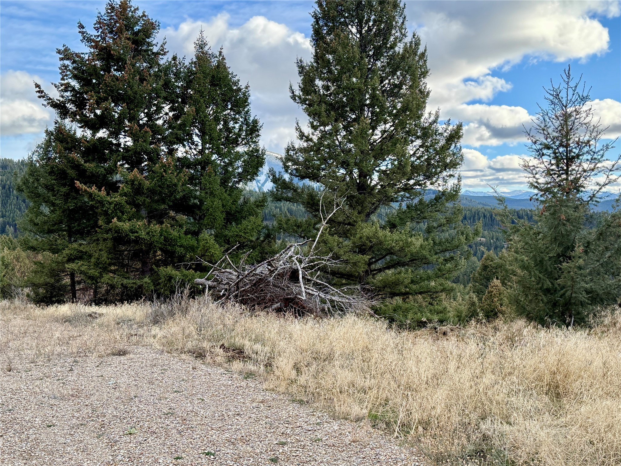Lot 1 Scranton Lode Property Photo 19