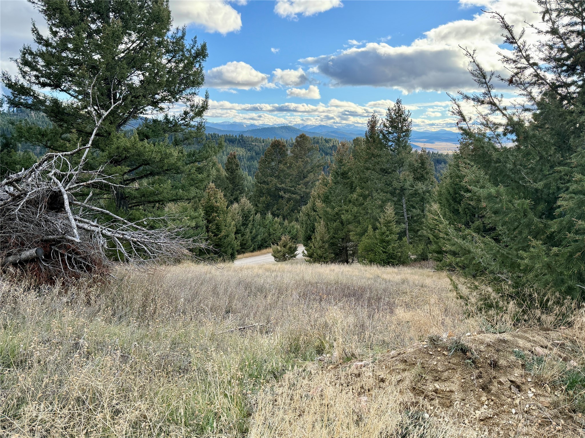 Lot 1 Scranton Lode Property Photo 21