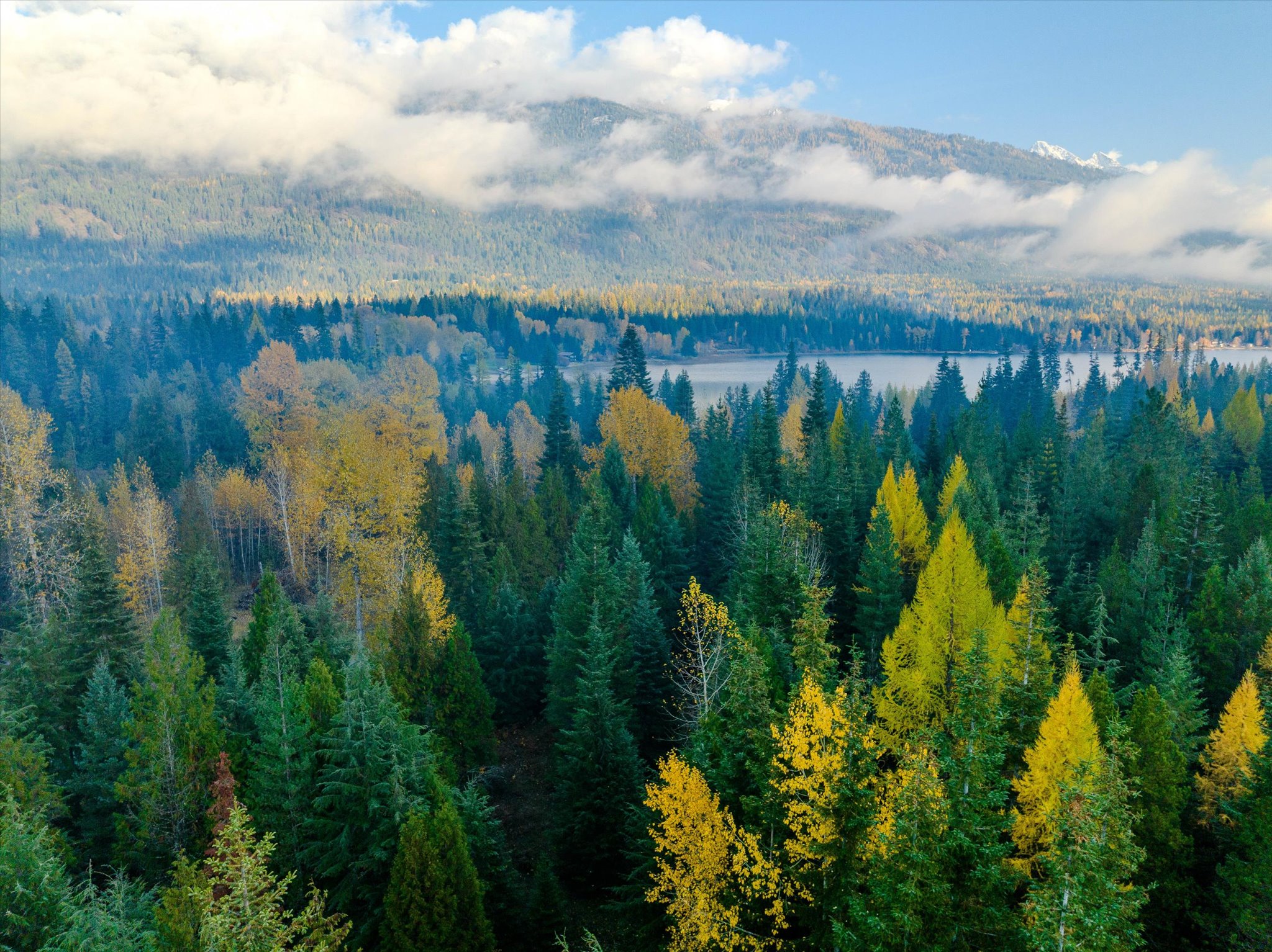 Nhn Northshore Drive Property Photo 7