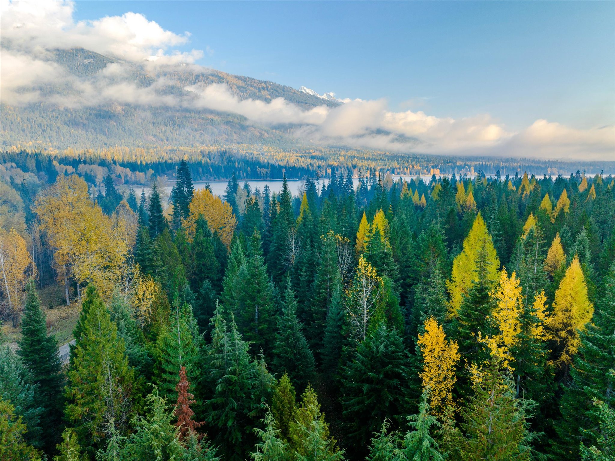 Nhn Northshore Drive Property Photo 8