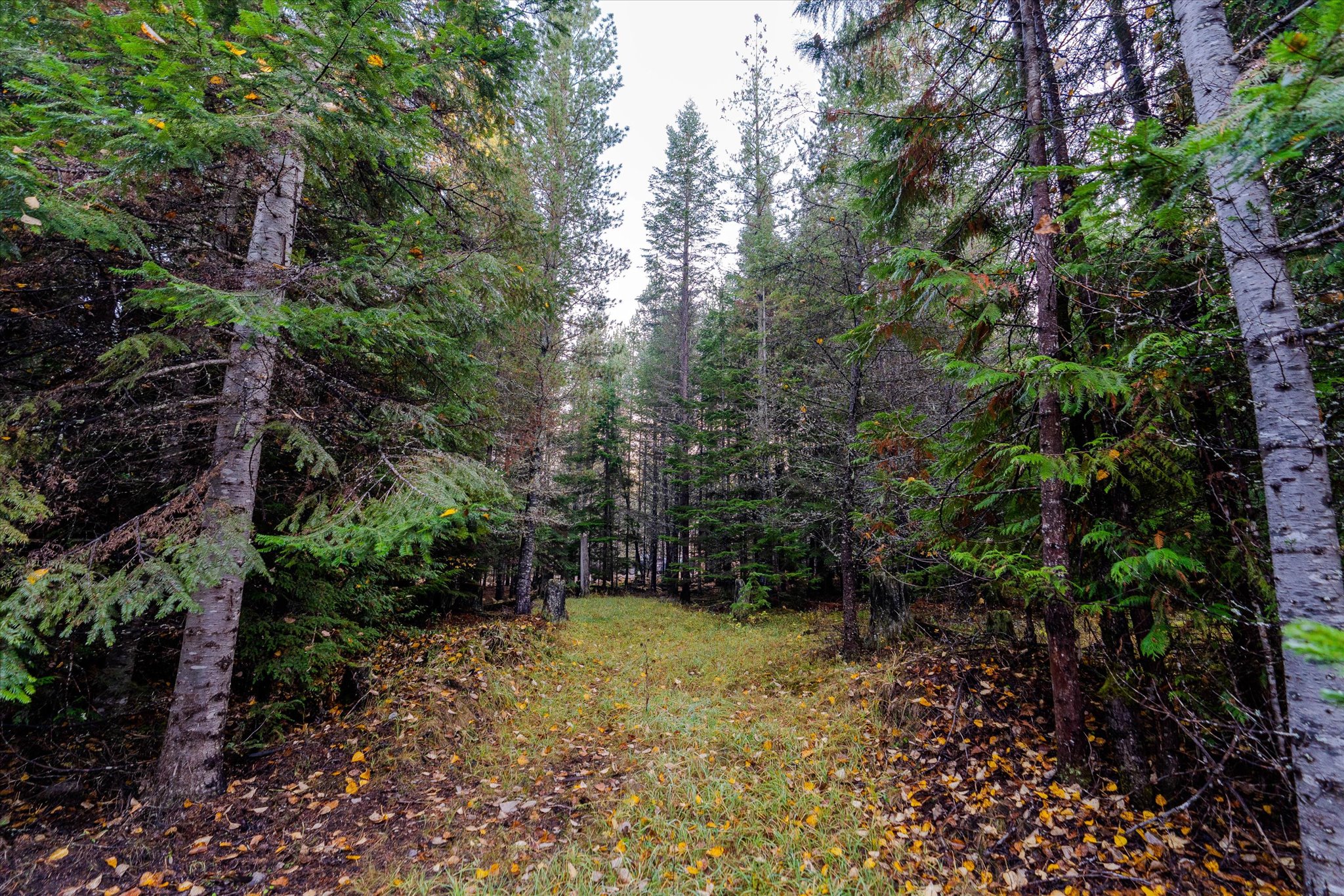 Nhn Northshore Drive Property Photo 16