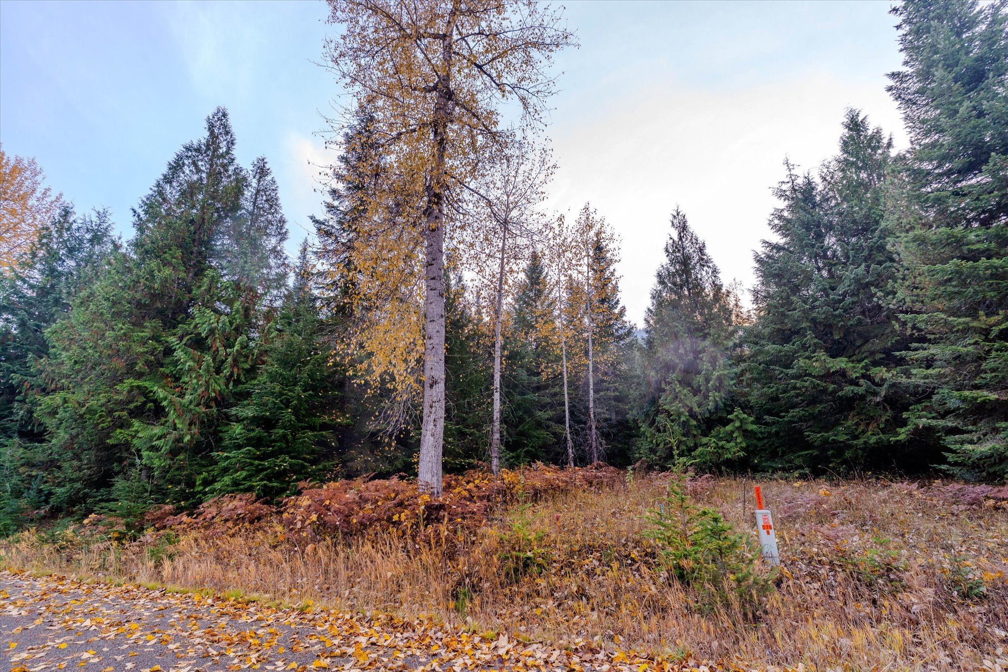 Nhn Northshore Drive Property Photo 17