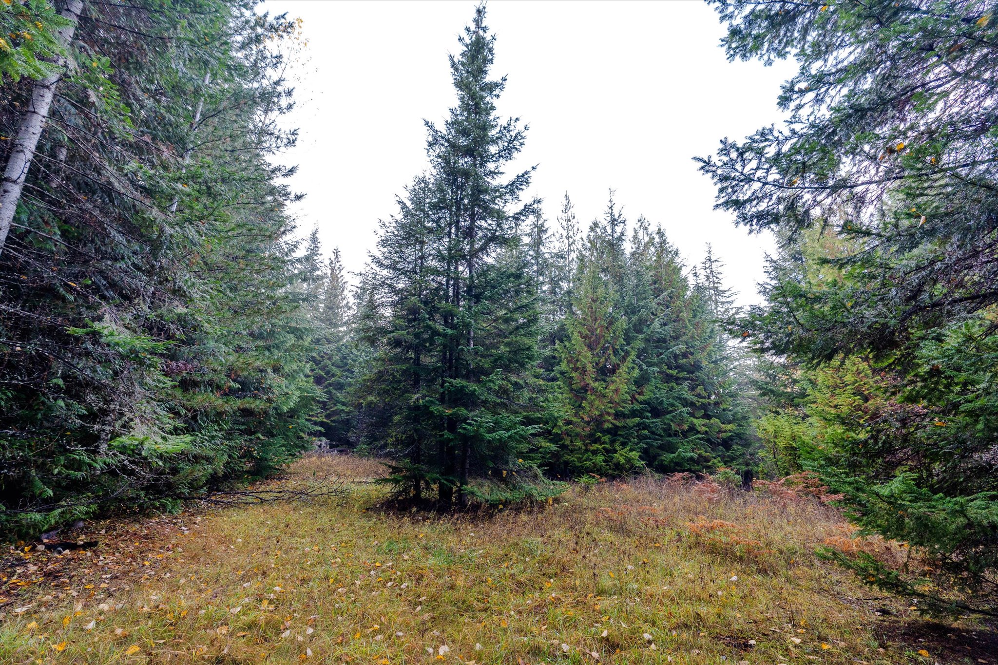 Nhn Northshore Drive Property Photo 18