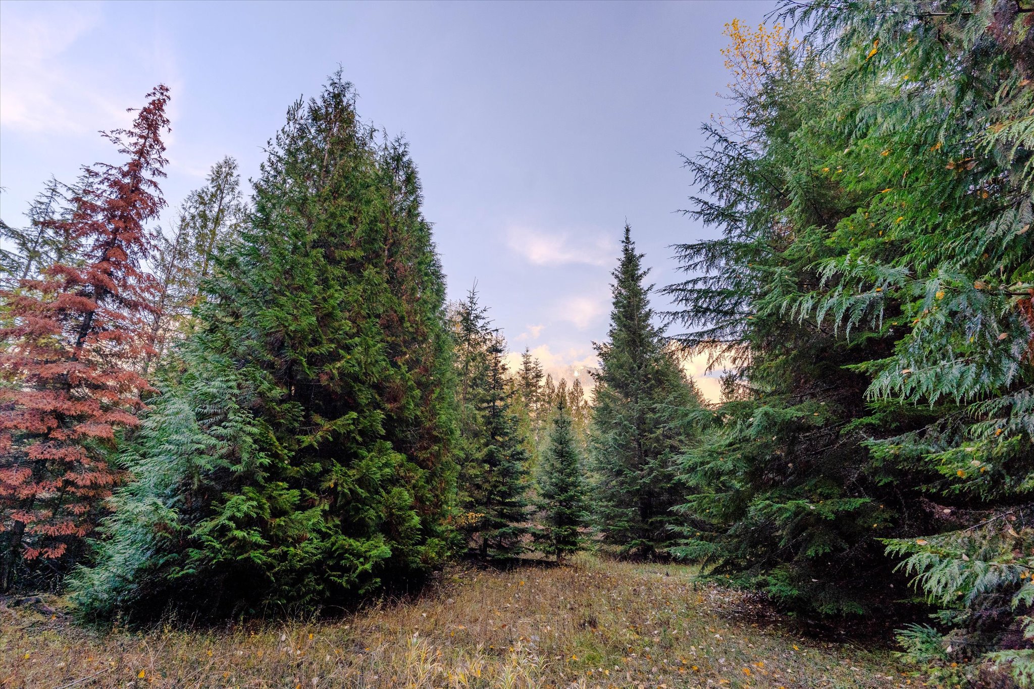 Nhn Northshore Drive Property Photo 19