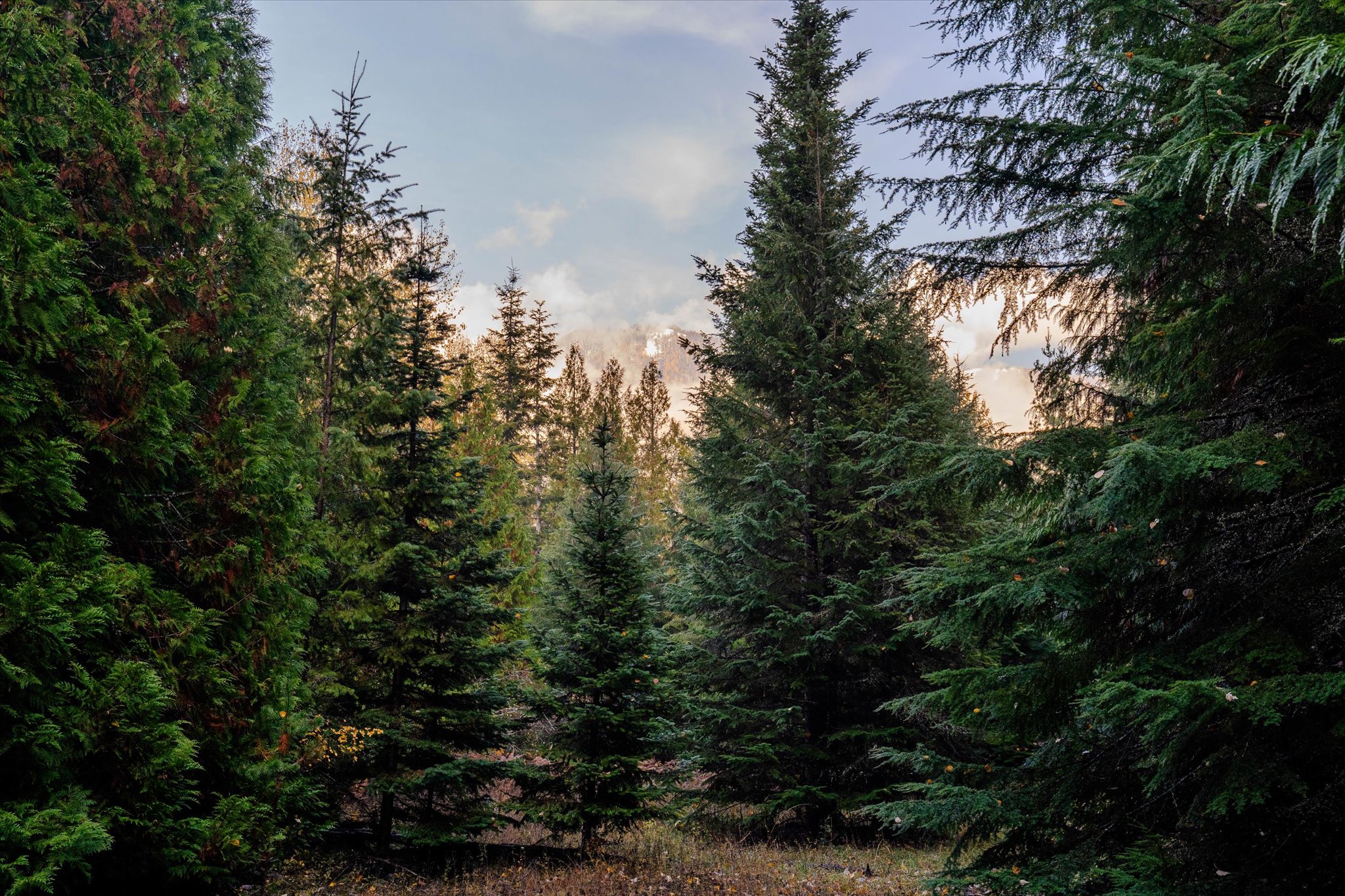 Nhn Northshore Drive Property Photo 20