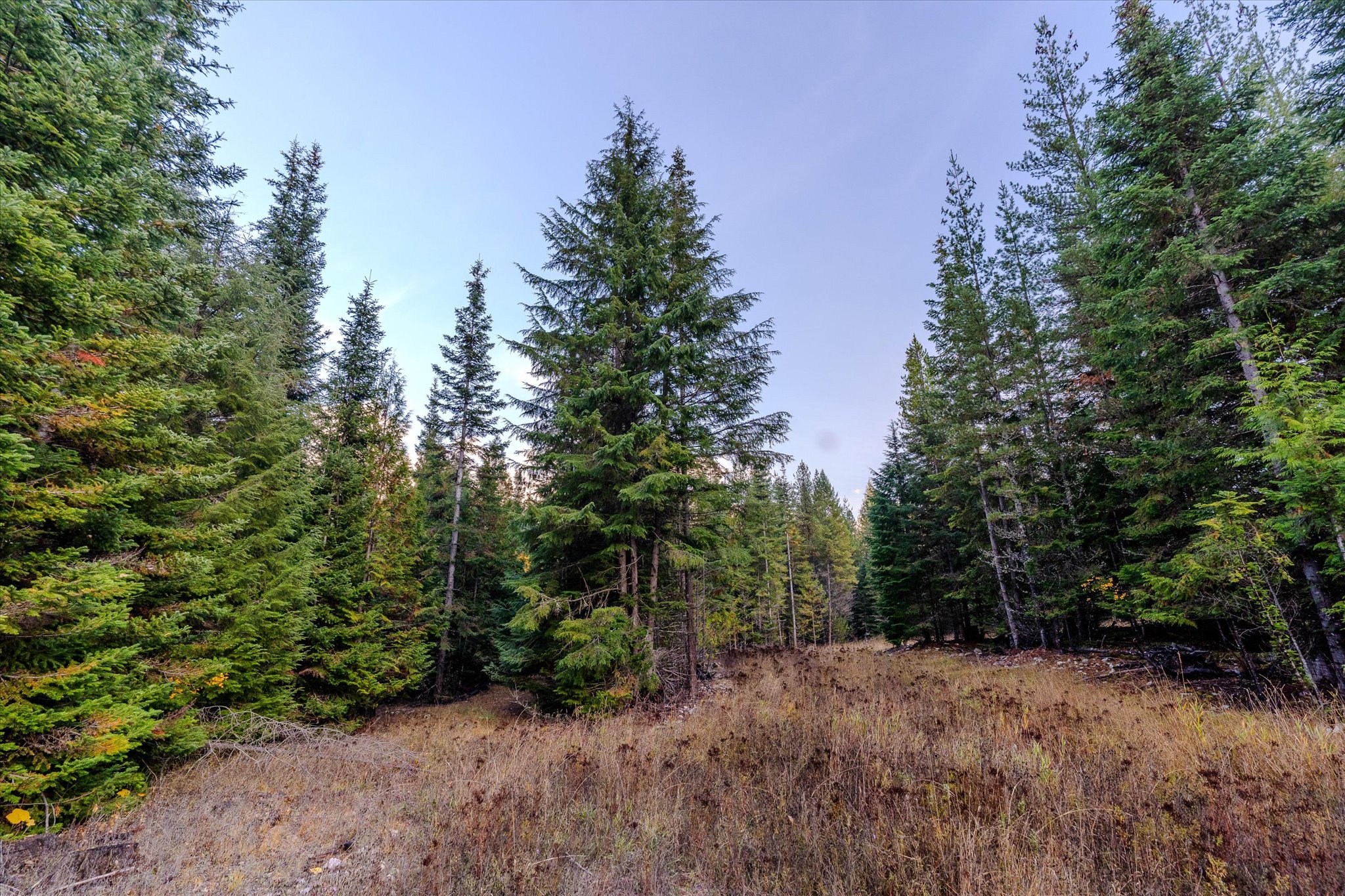 Nhn Northshore Drive Property Photo 22