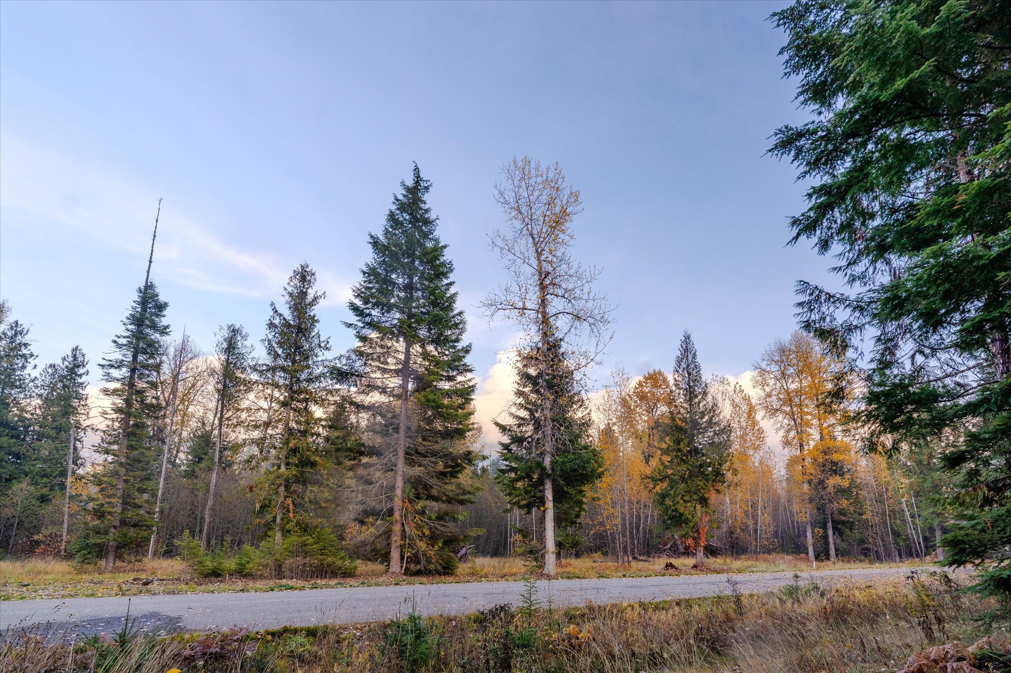 Nhn Northshore Drive Property Photo 23