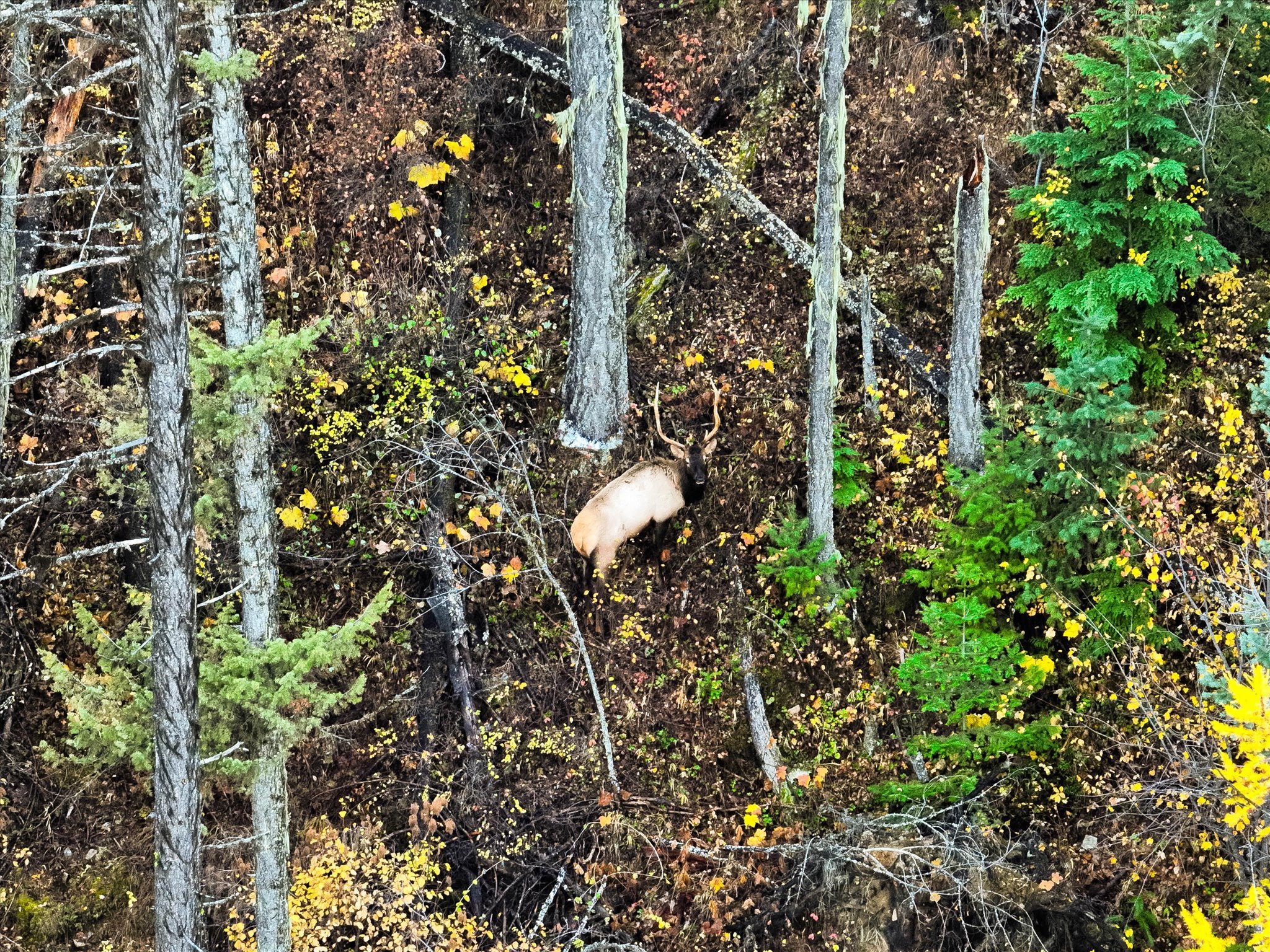 Nhn Northshore Drive Property Photo 24