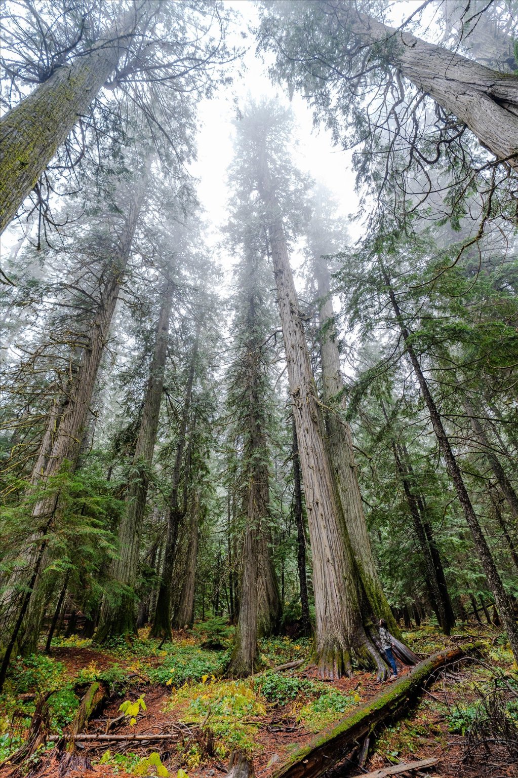 Nhn Northshore Drive Property Photo 29