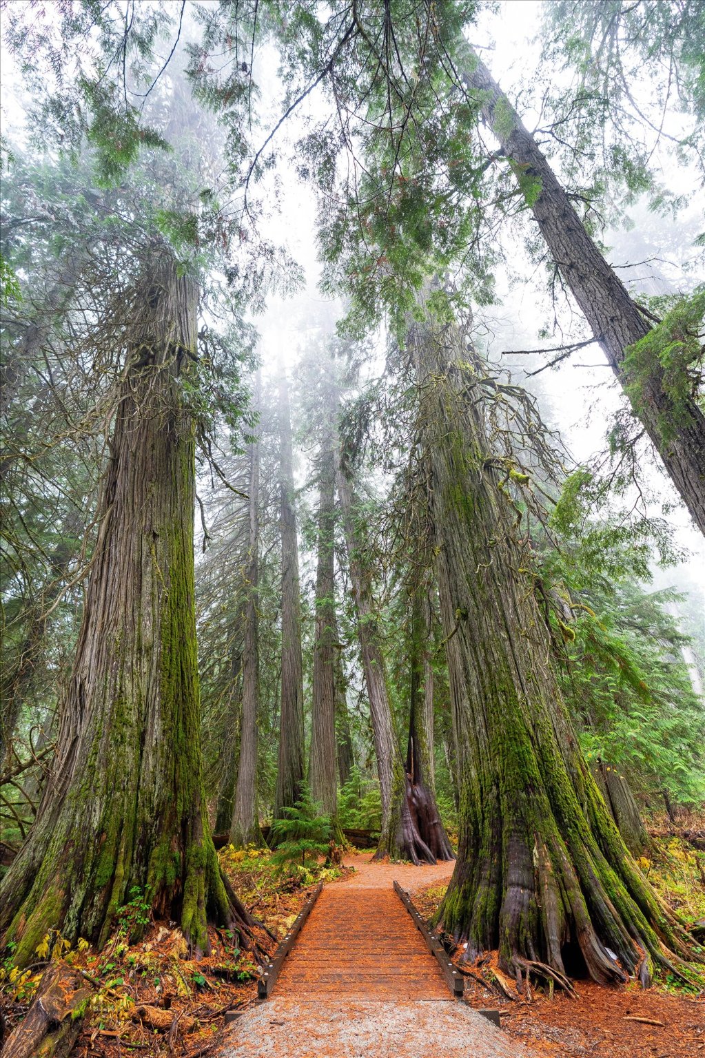 Nhn Northshore Drive Property Photo 30