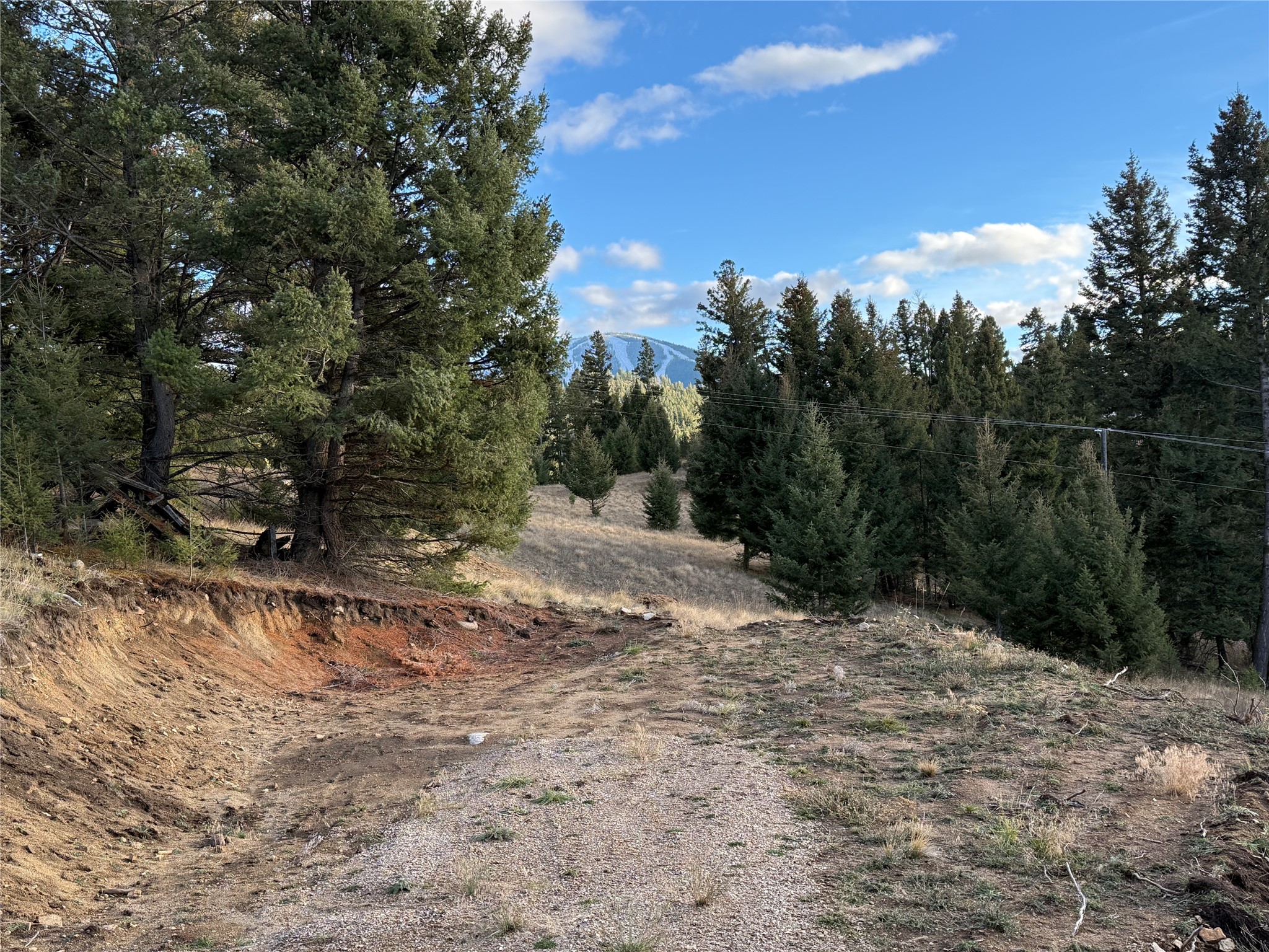 Lot 3 Scranton Lode Property Photo 2