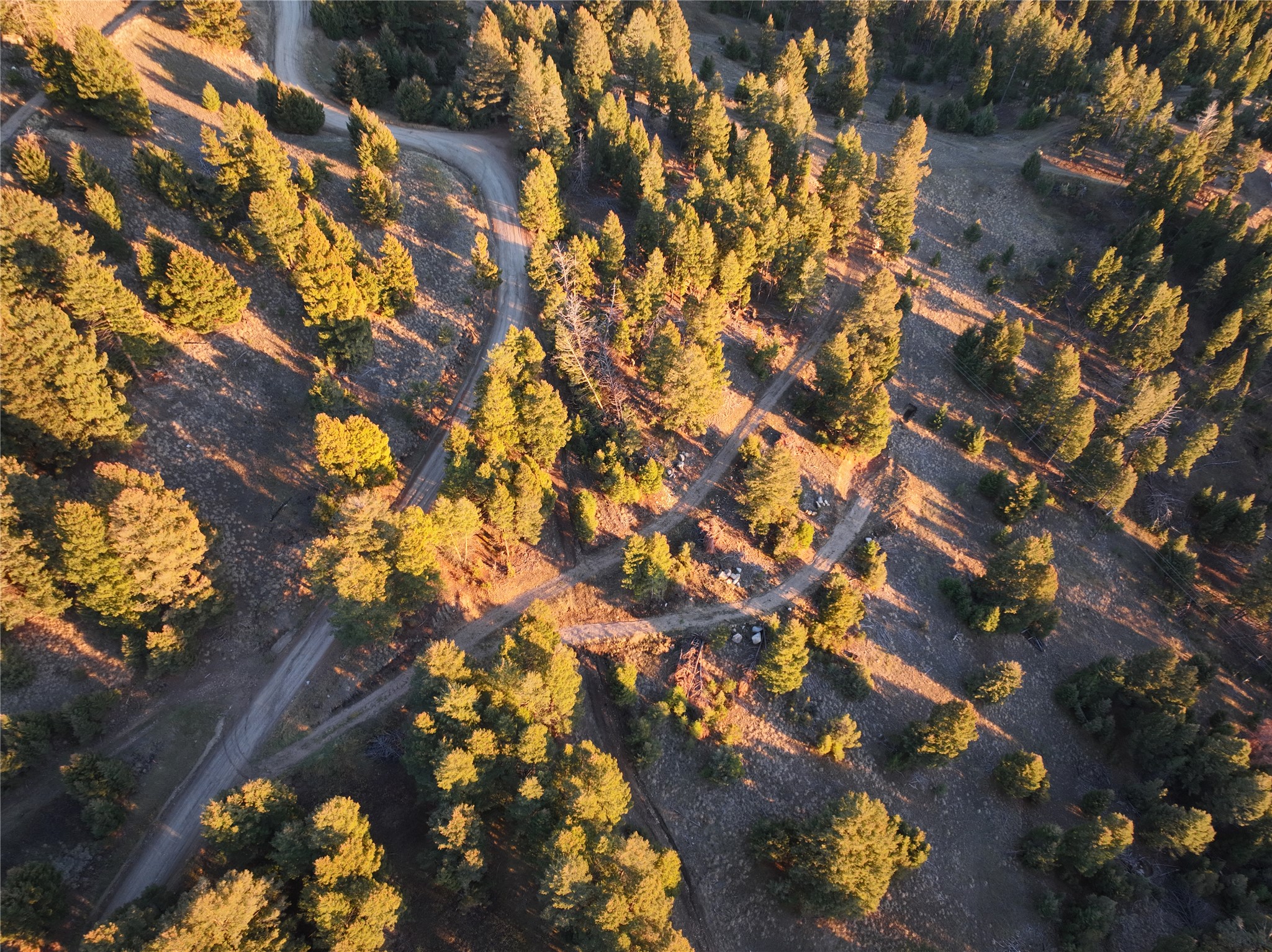 Lot 3 Scranton Lode Property Photo 5