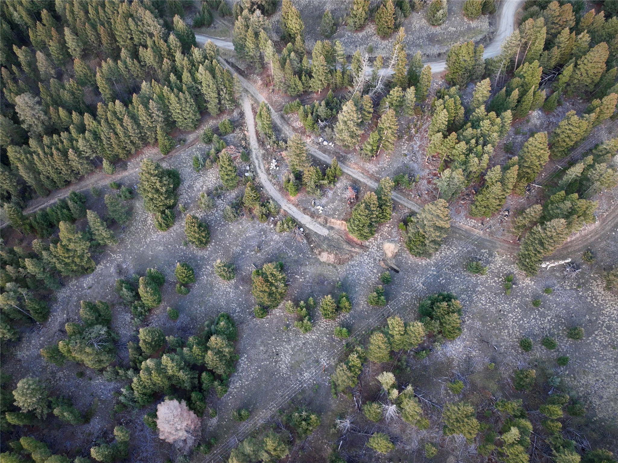 Lot 3 Scranton Lode Property Photo 7