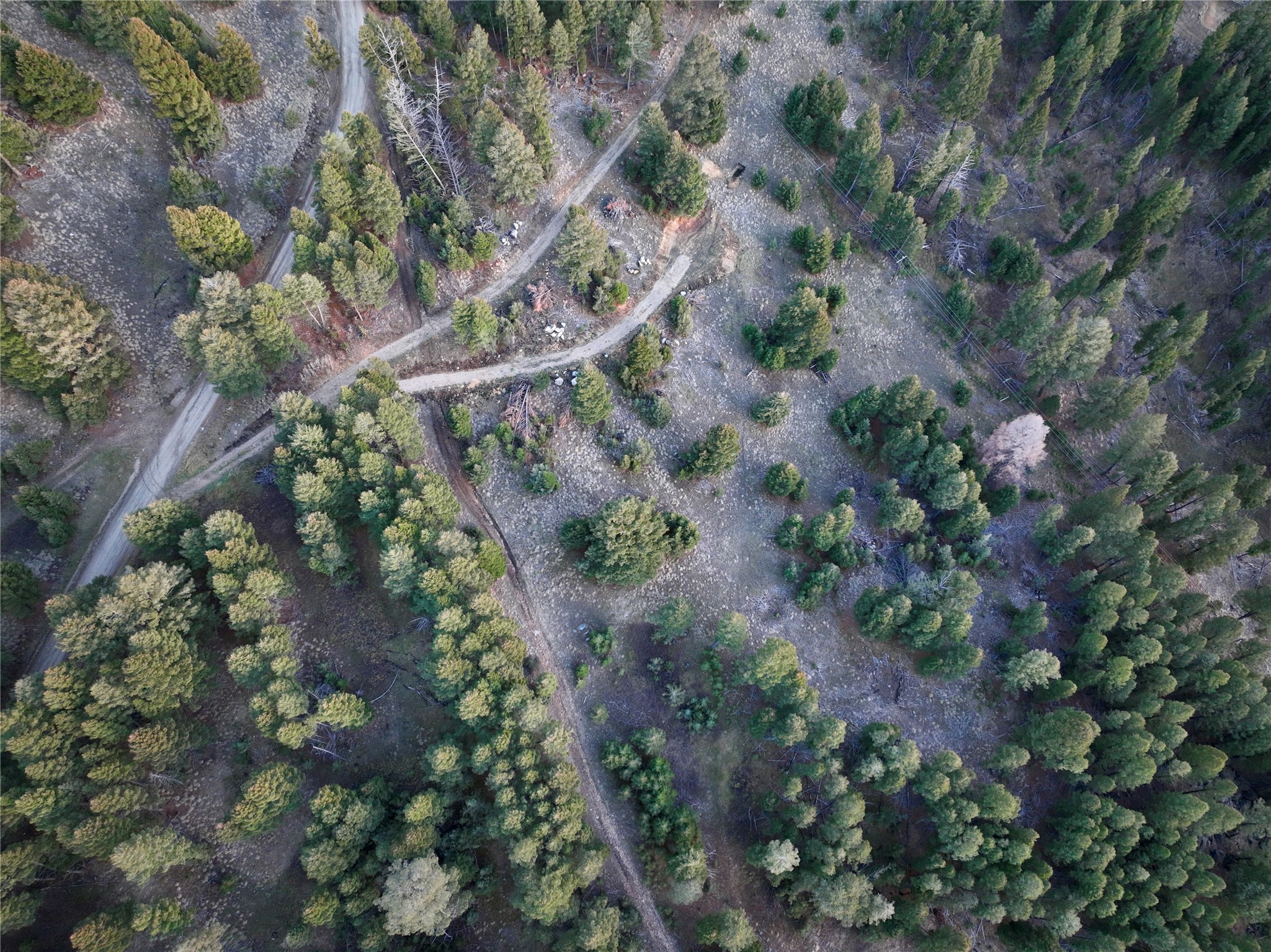 Lot 3 Scranton Lode Property Photo 8