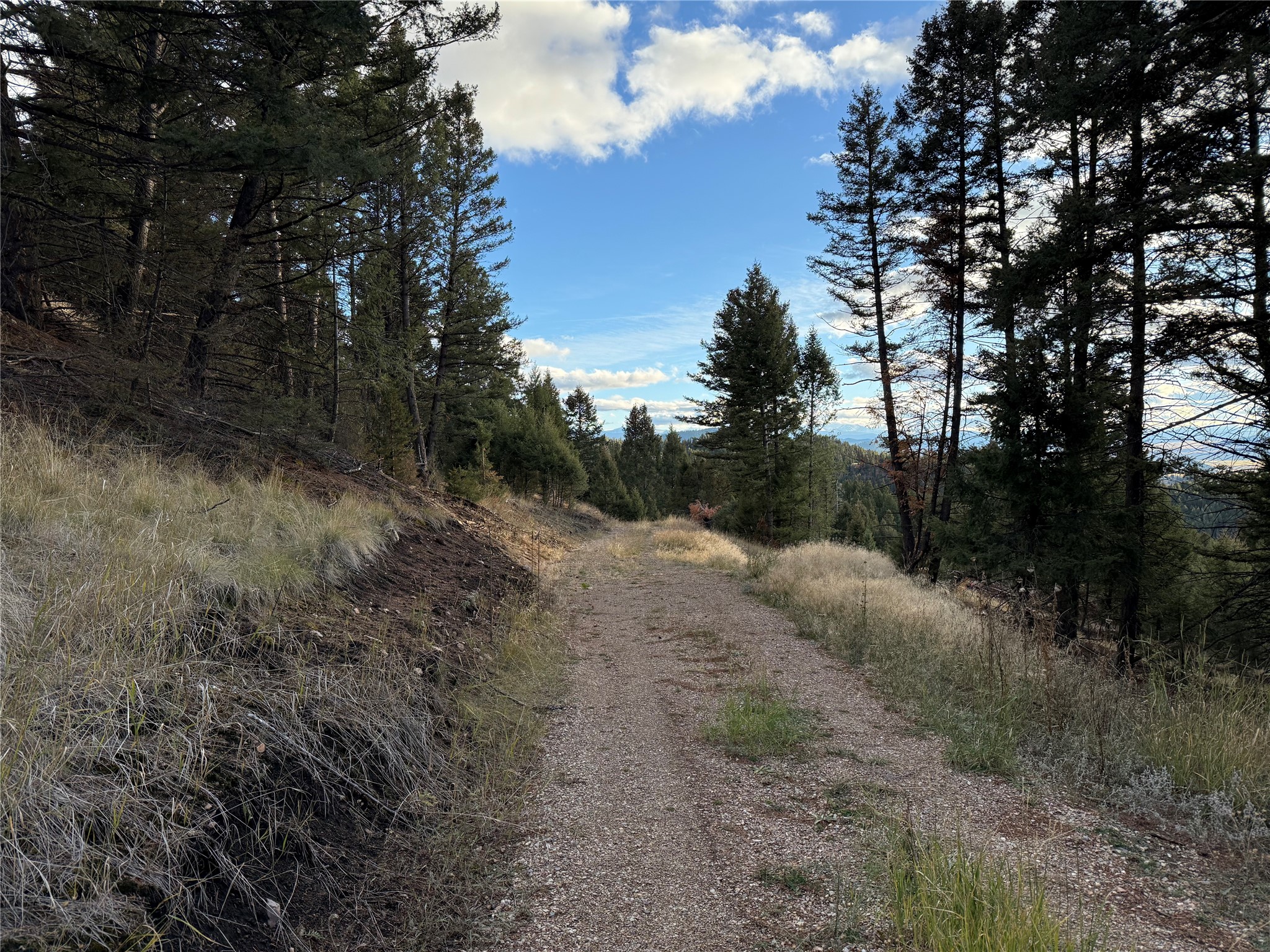 Lot 3 Scranton Lode Property Photo 9