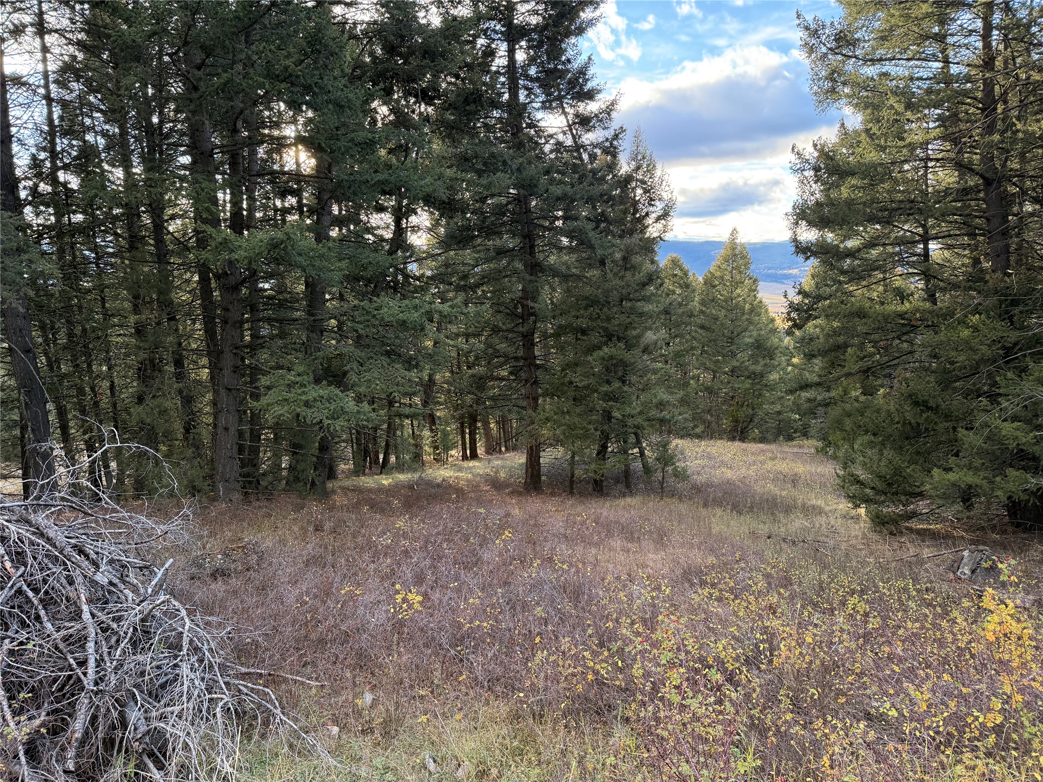 Lot 3 Scranton Lode Property Photo 10