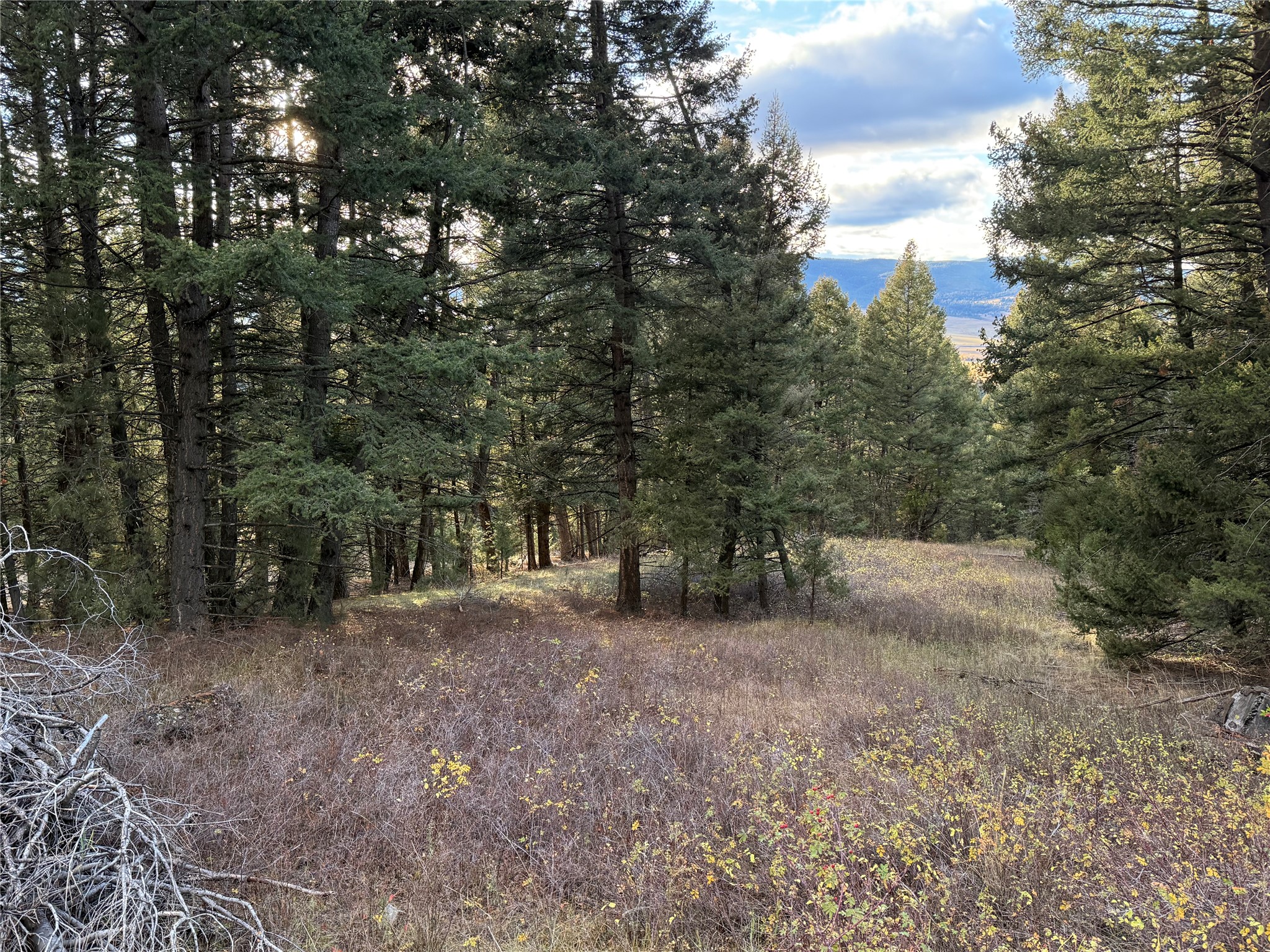 Lot 3 Scranton Lode Property Photo 11