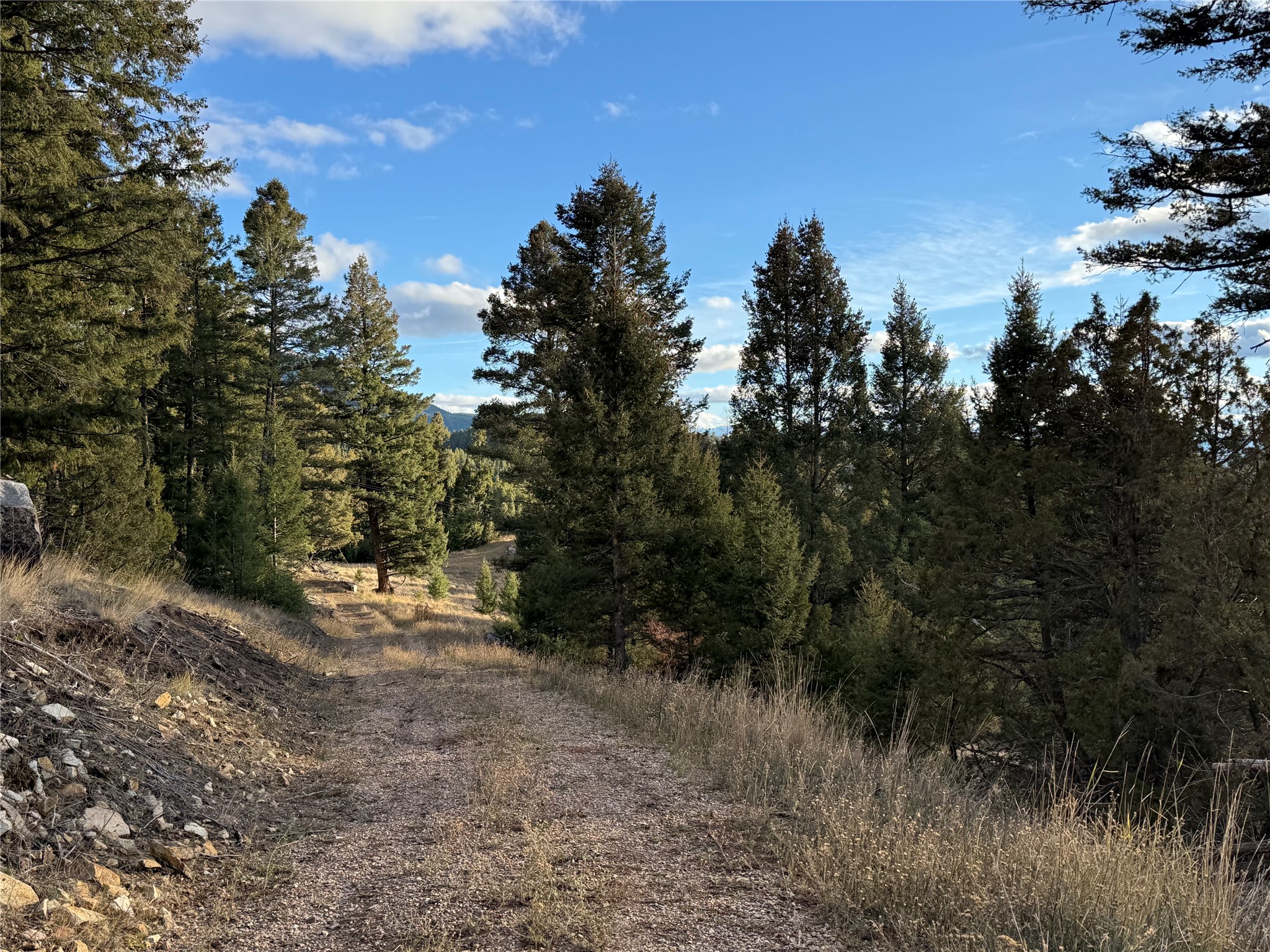 Lot 3 Scranton Lode Property Photo 12