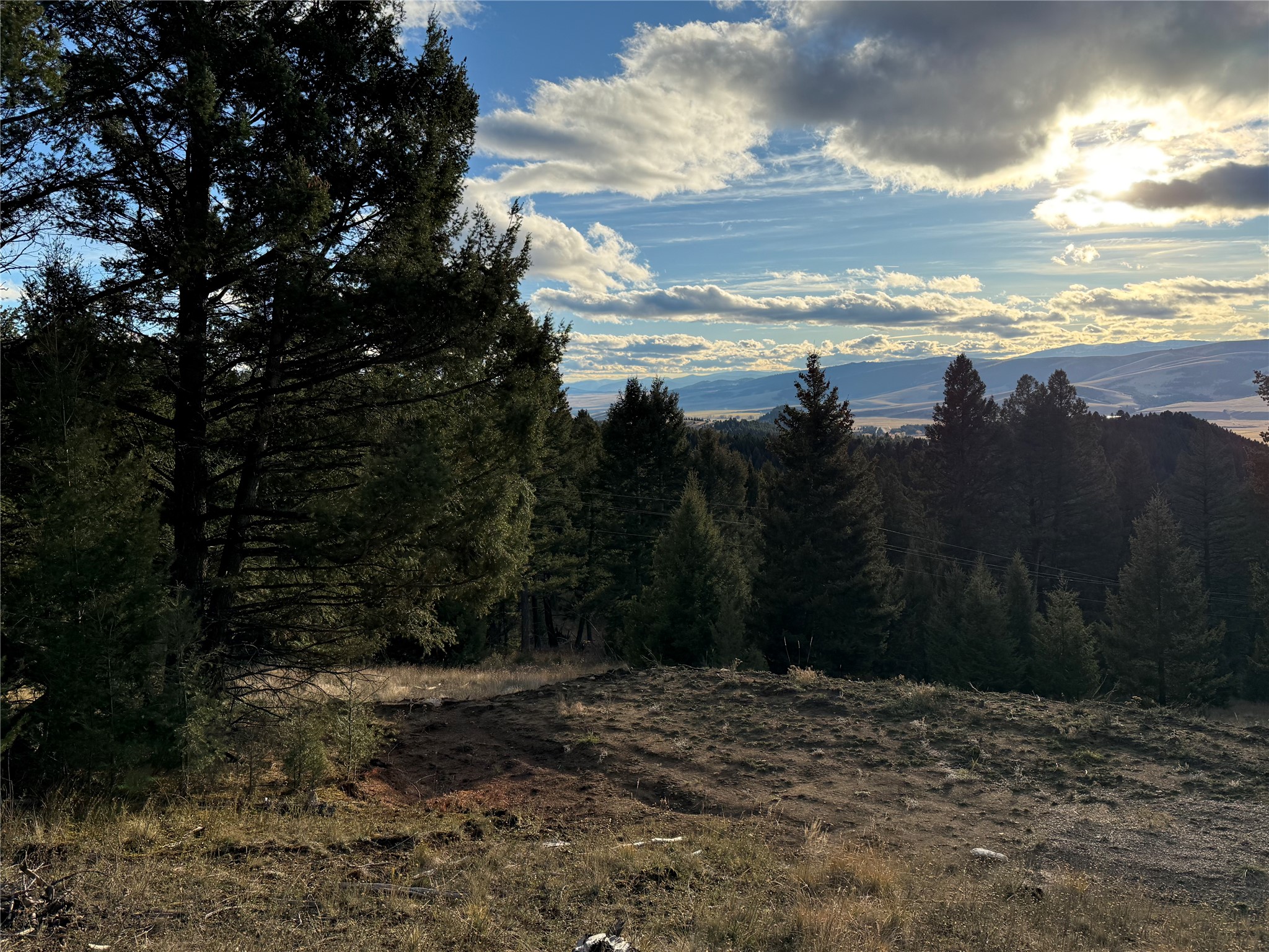Lot 3 Scranton Lode Property Photo 14