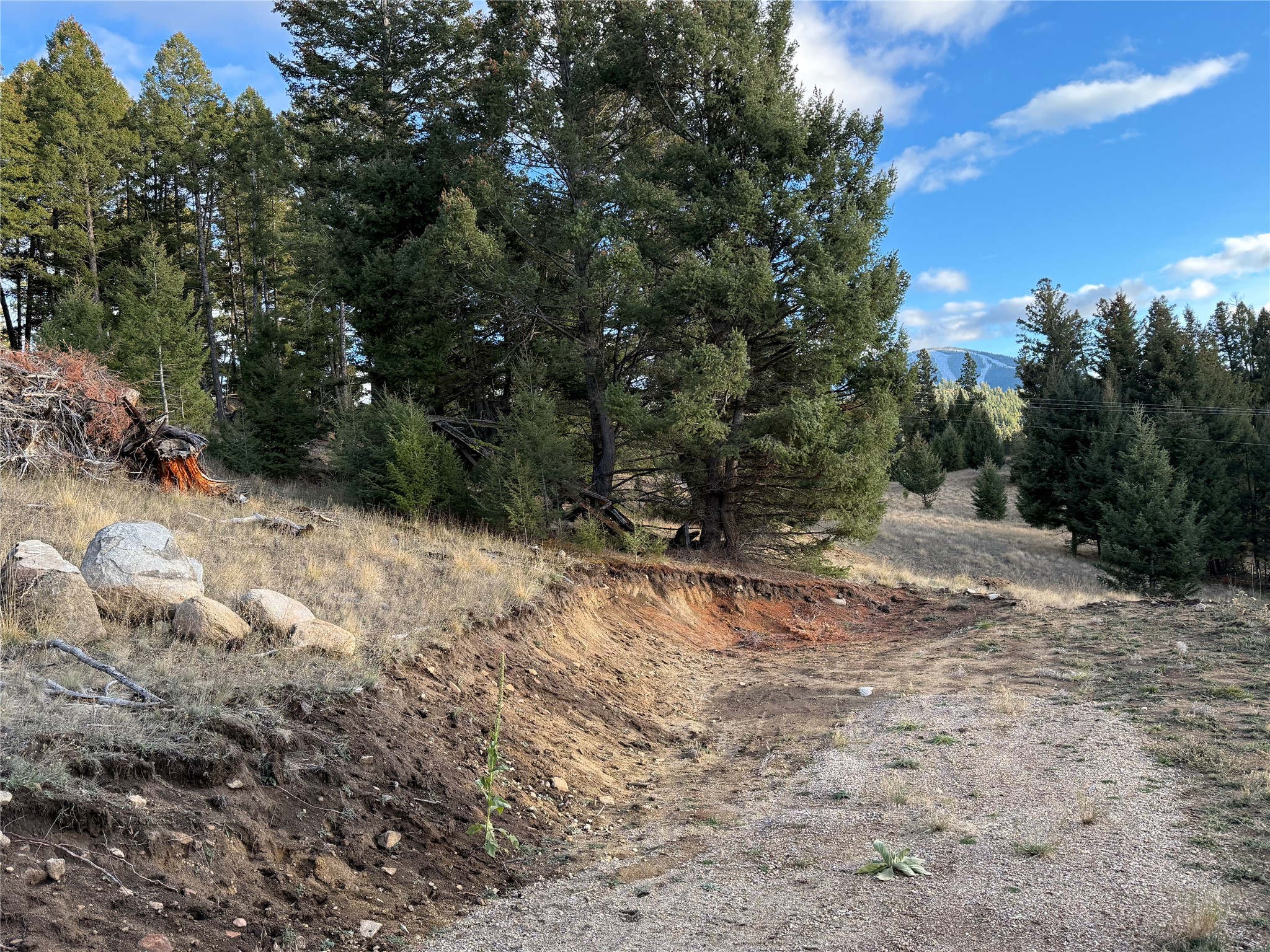 Lot 3 Scranton Lode Property Photo 15