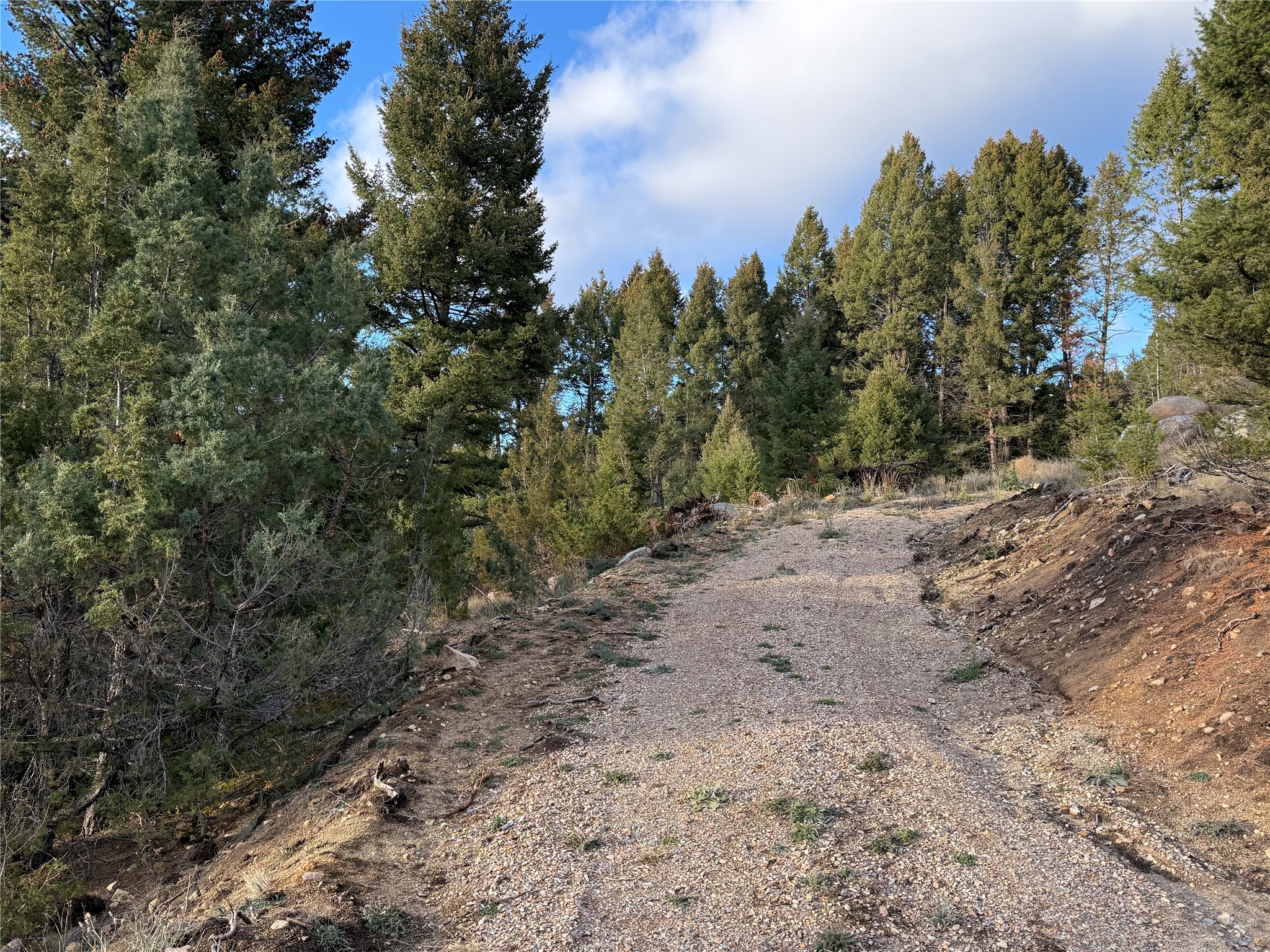 Lot 3 Scranton Lode Property Photo 16