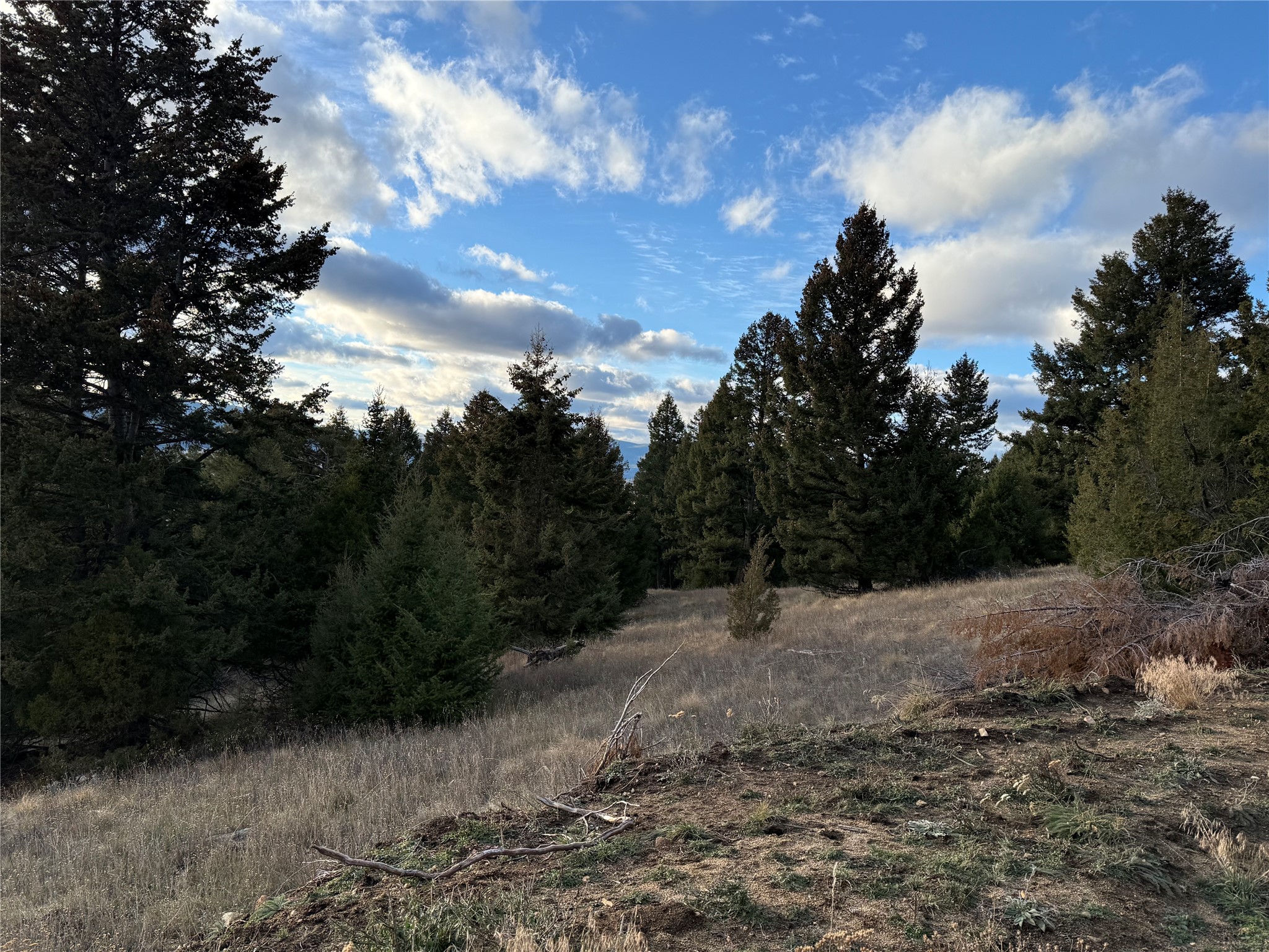 Lot 3 Scranton Lode Property Photo 17
